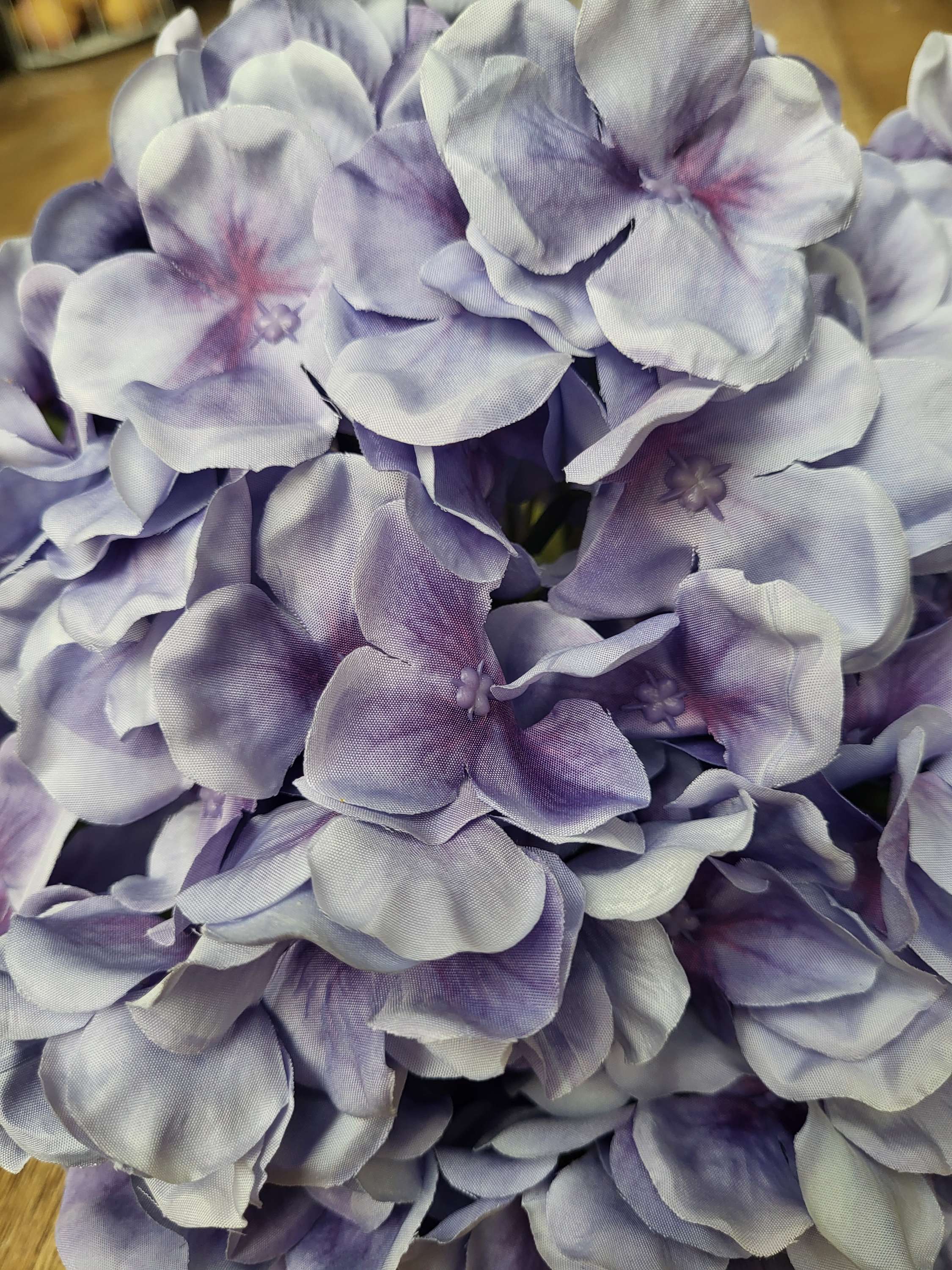 Giant head lavender  premium hydrangea  image 3