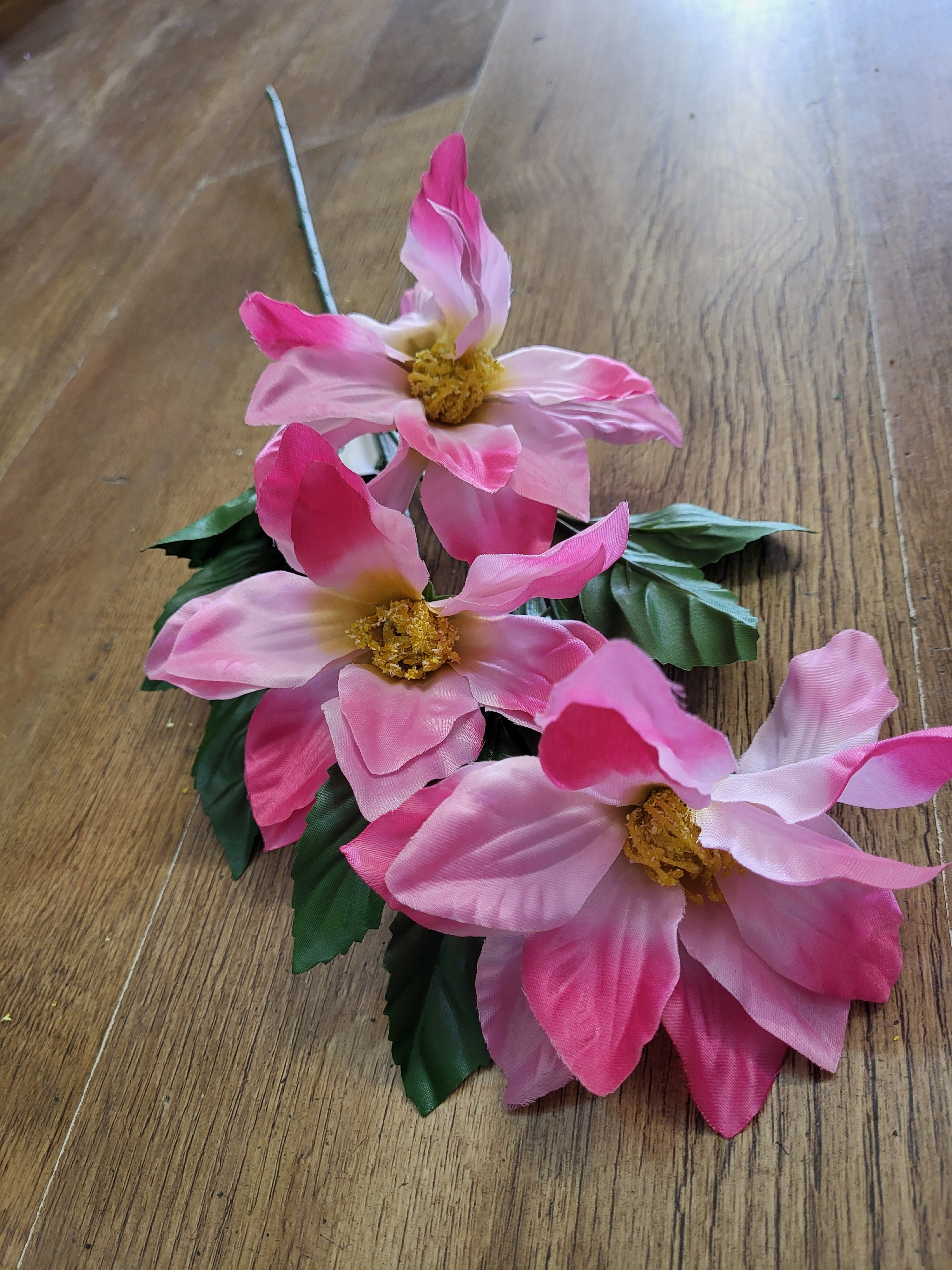 Long stem zinnia - 4 colours available image 5