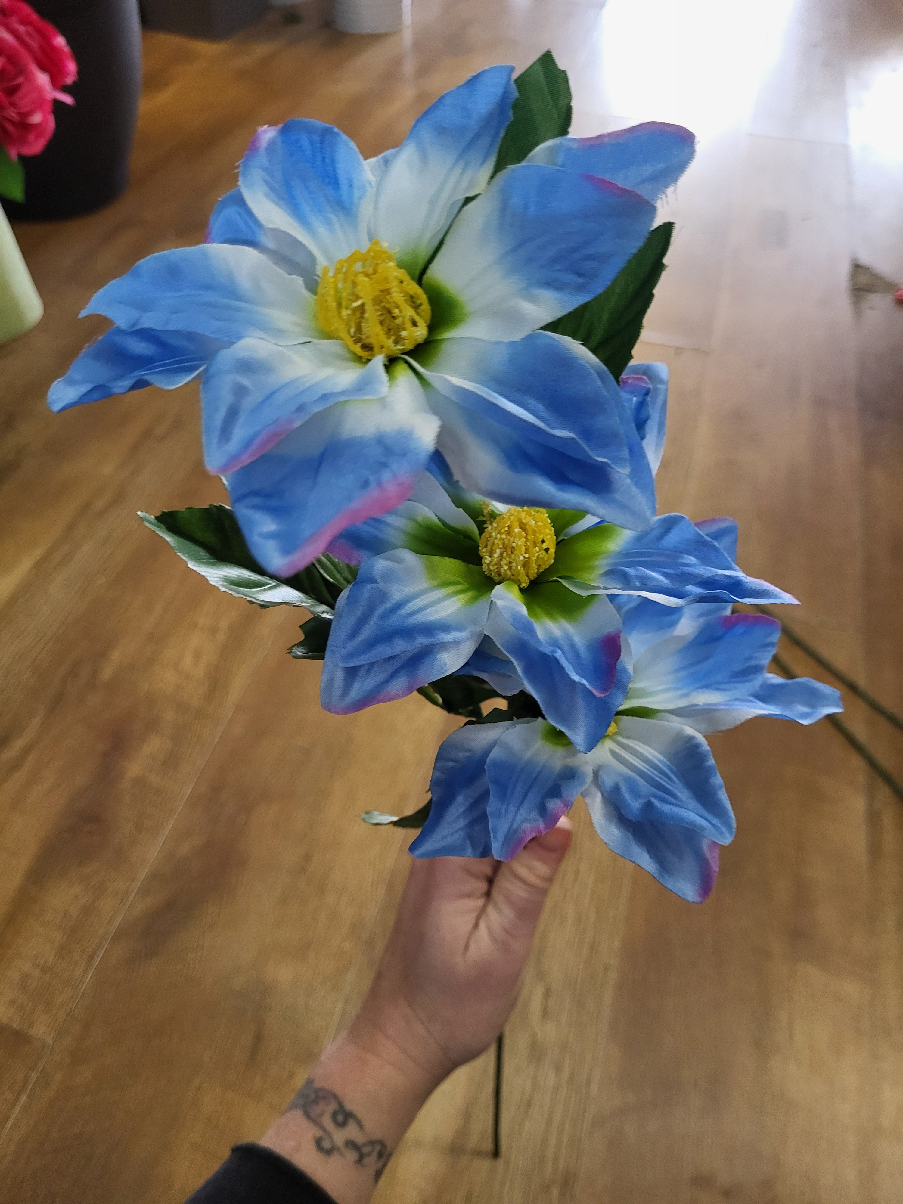 Long stem zinnia - 4 colours available image 4