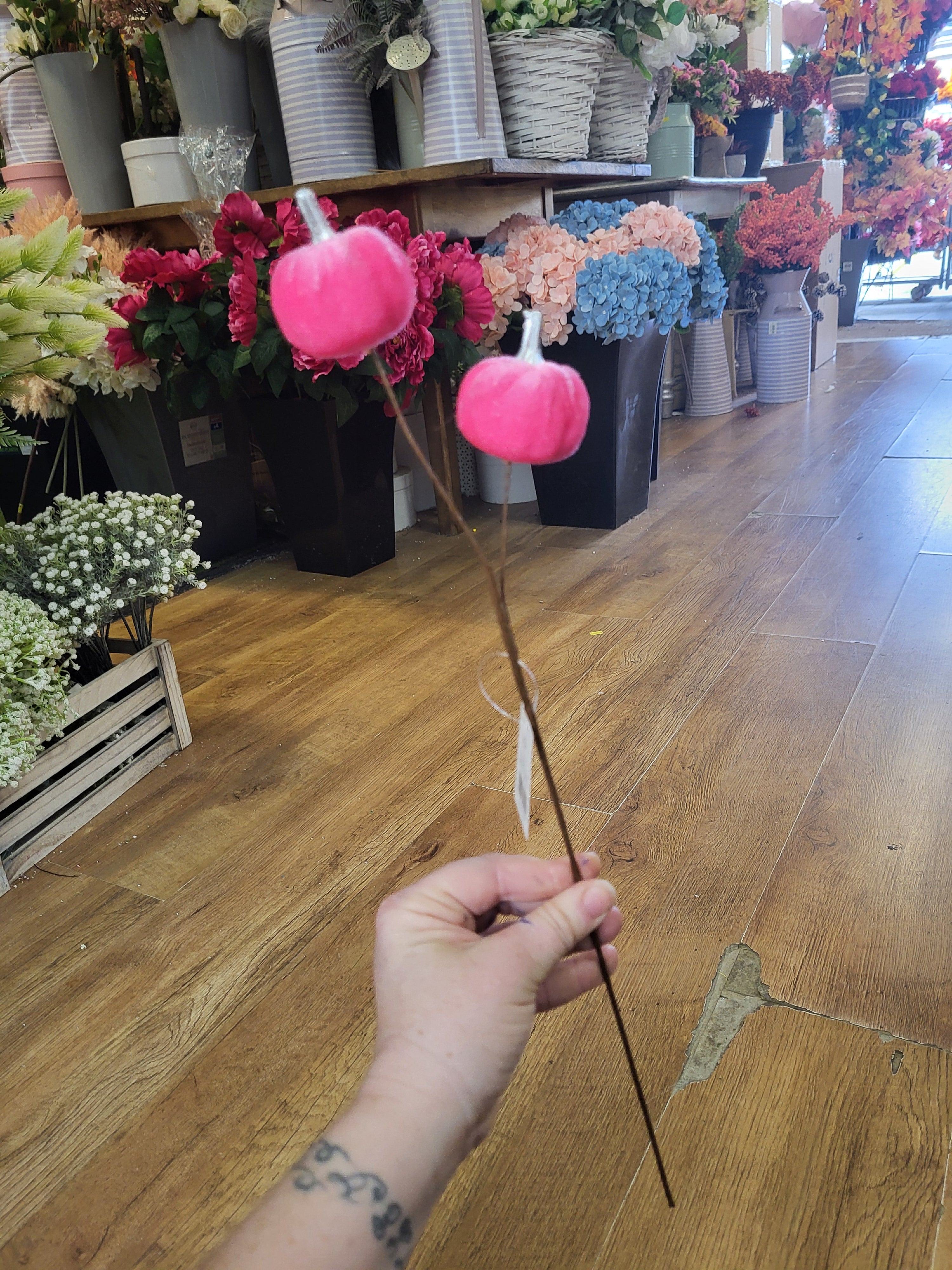 Medium length pink velvet pumpkin stem  image 3