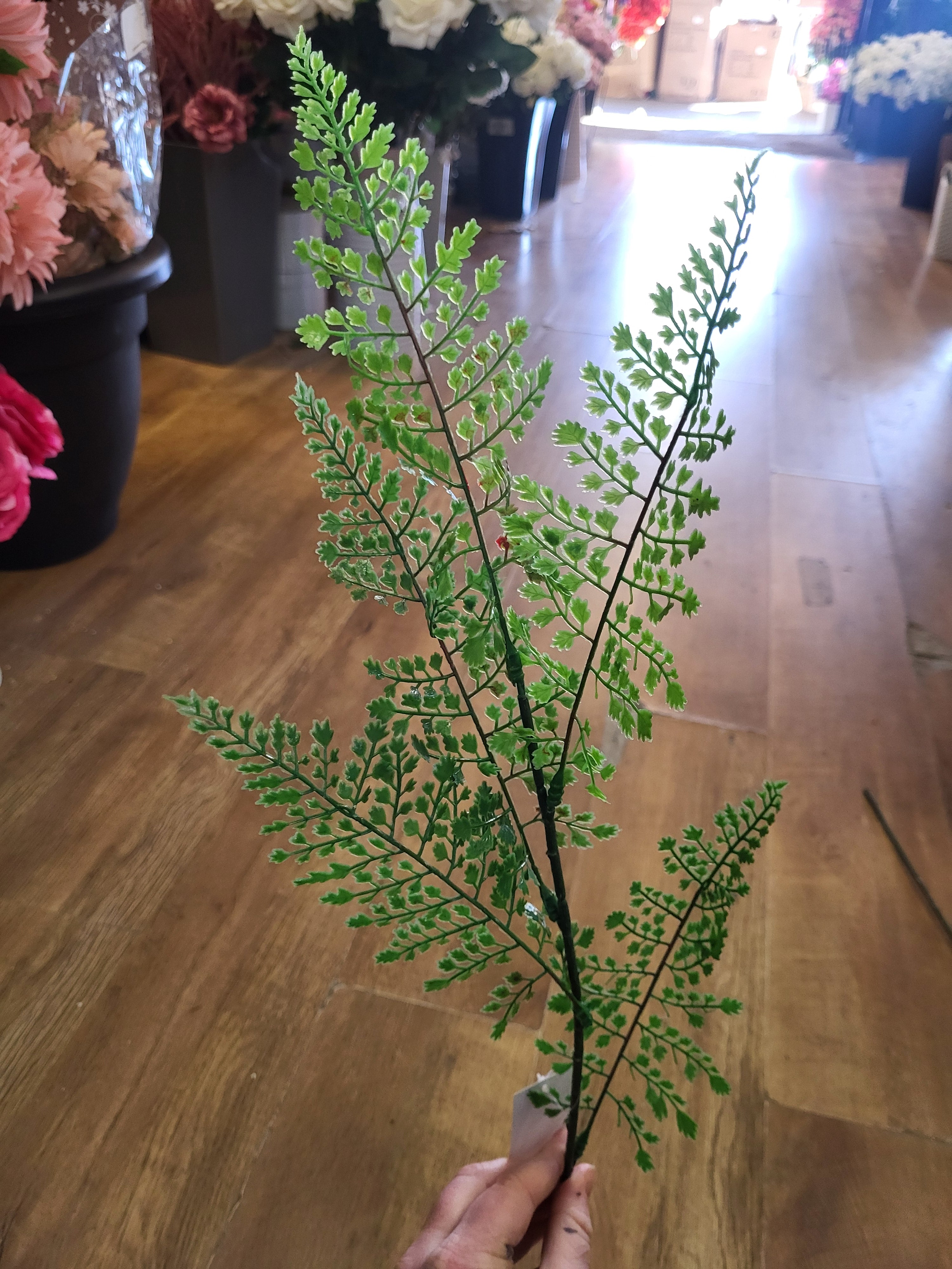 Long stem fern - 2 styles image 3