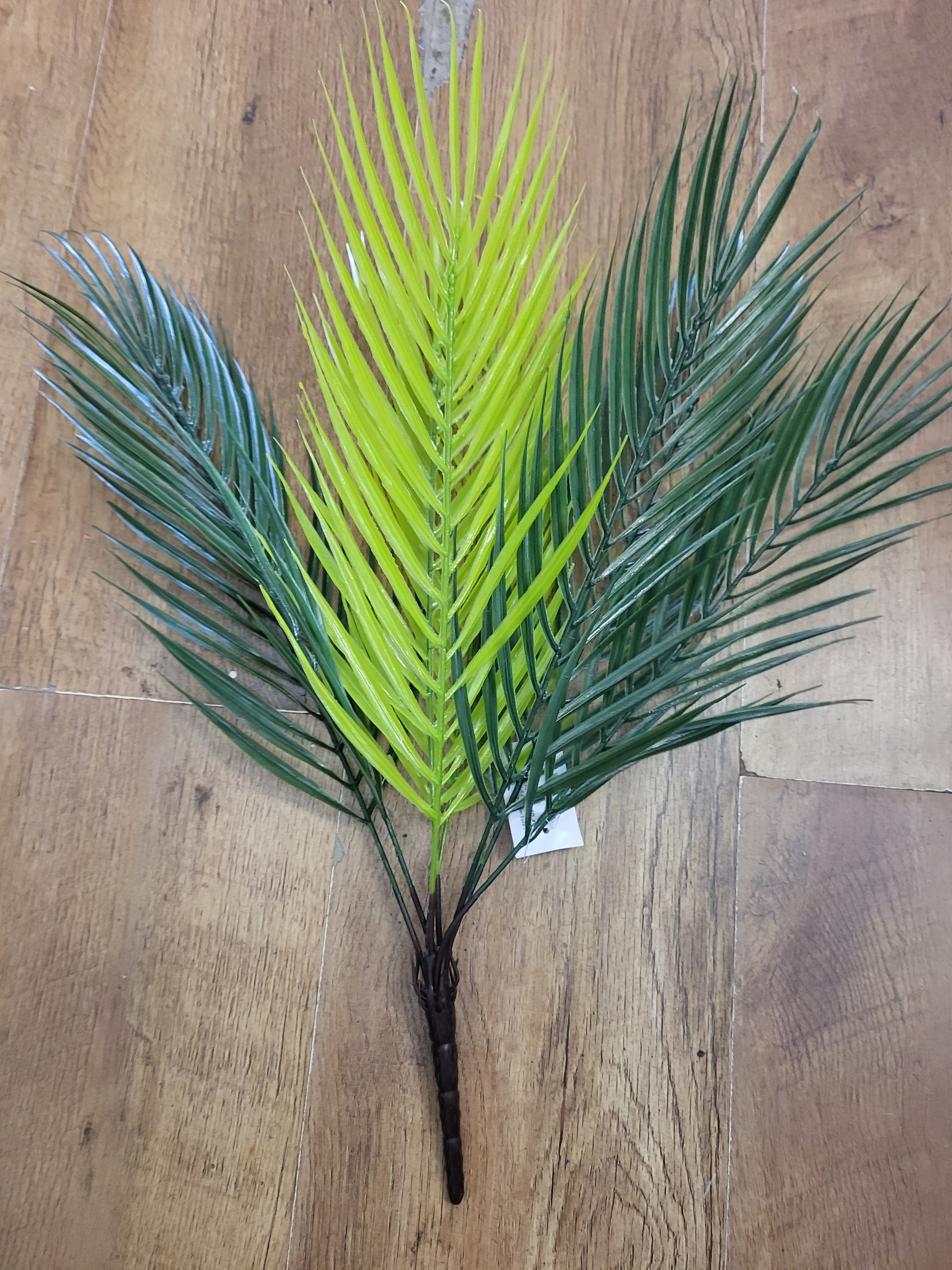 Large mixed green Palm bunch image 1