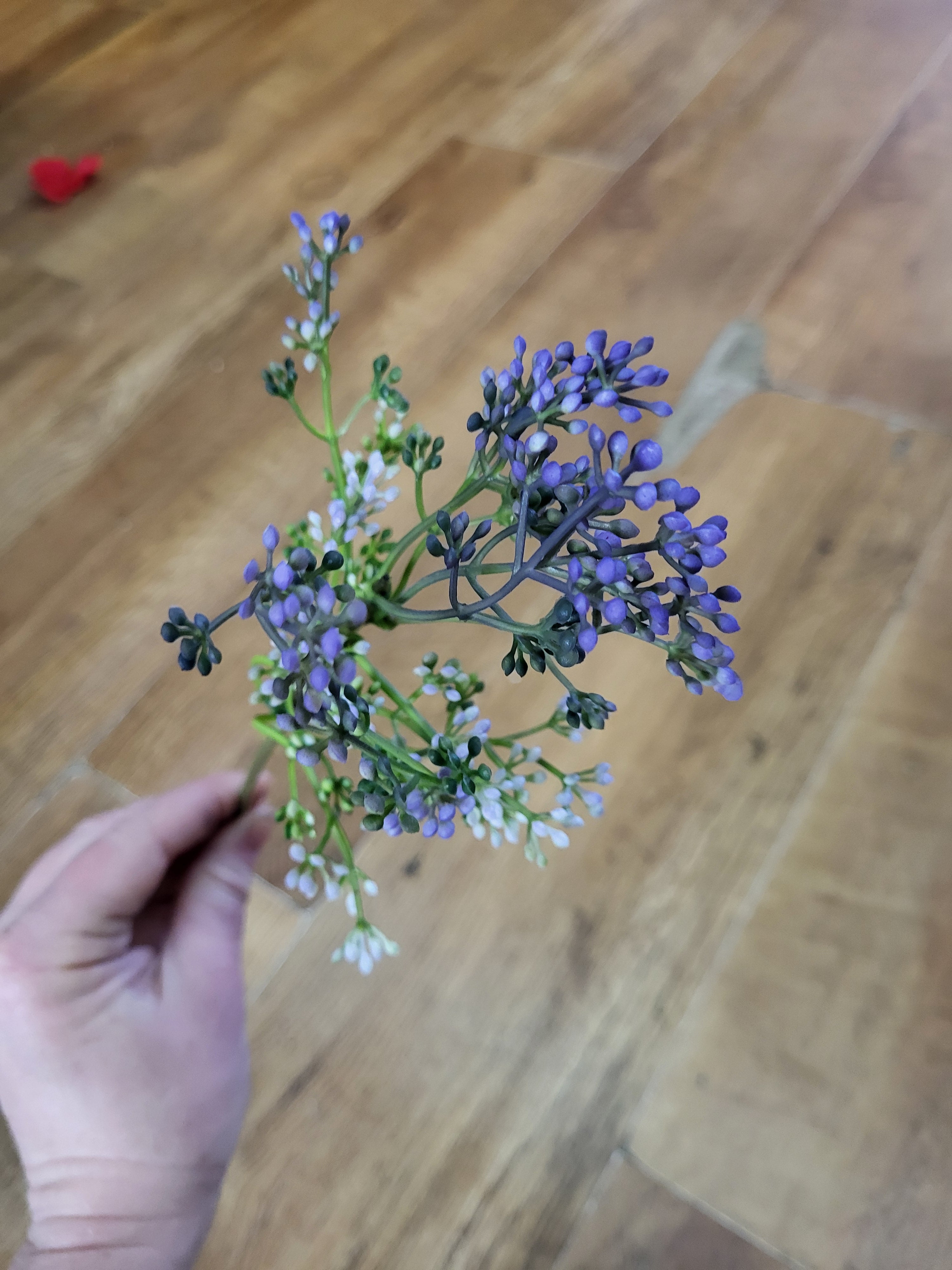 Purple tinted Felicity bud pick  image 2