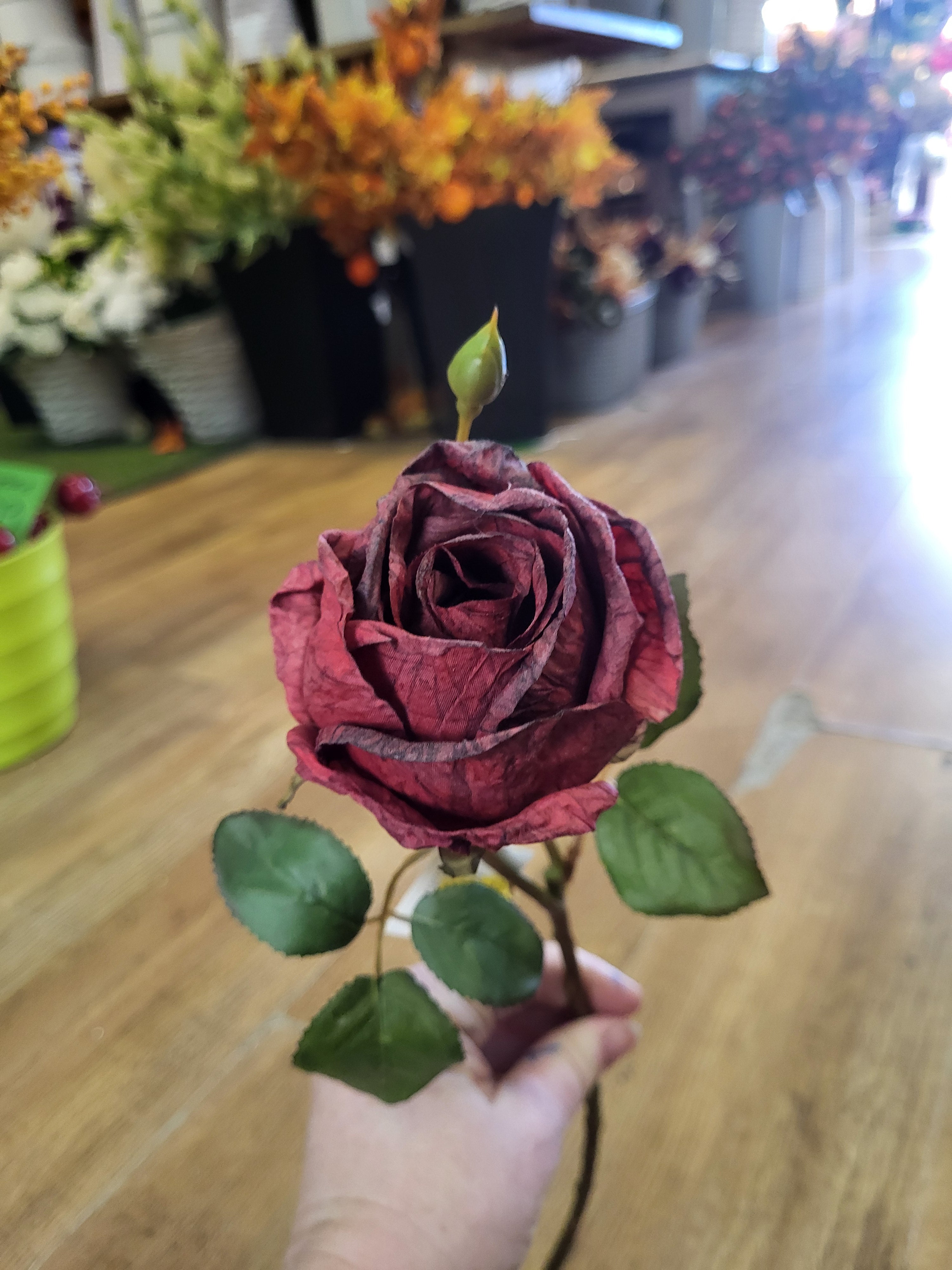 Dried inspired Winter Red Valera rose image 0