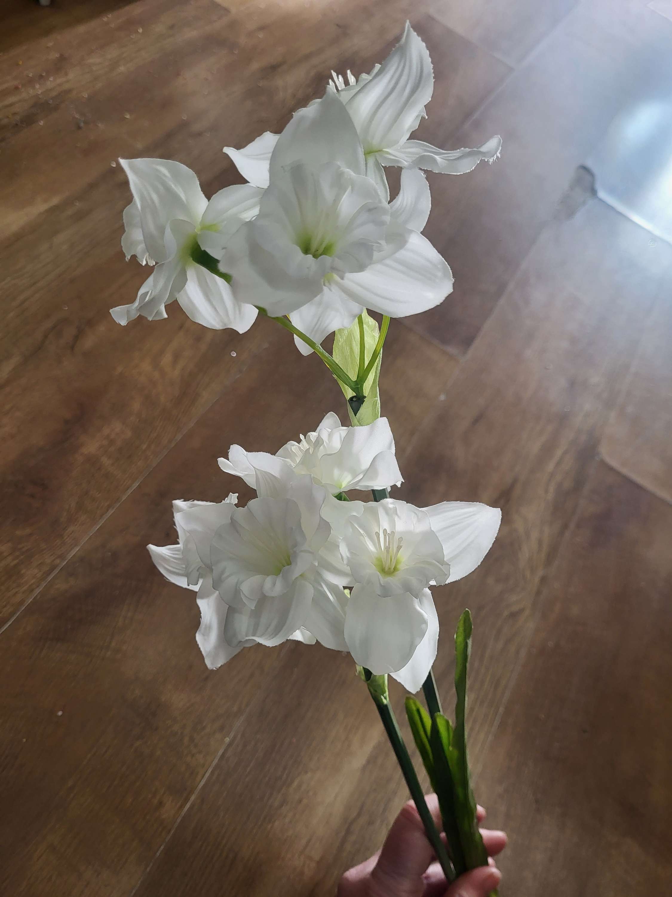 Long stem white ruffled daffodil spray image 6