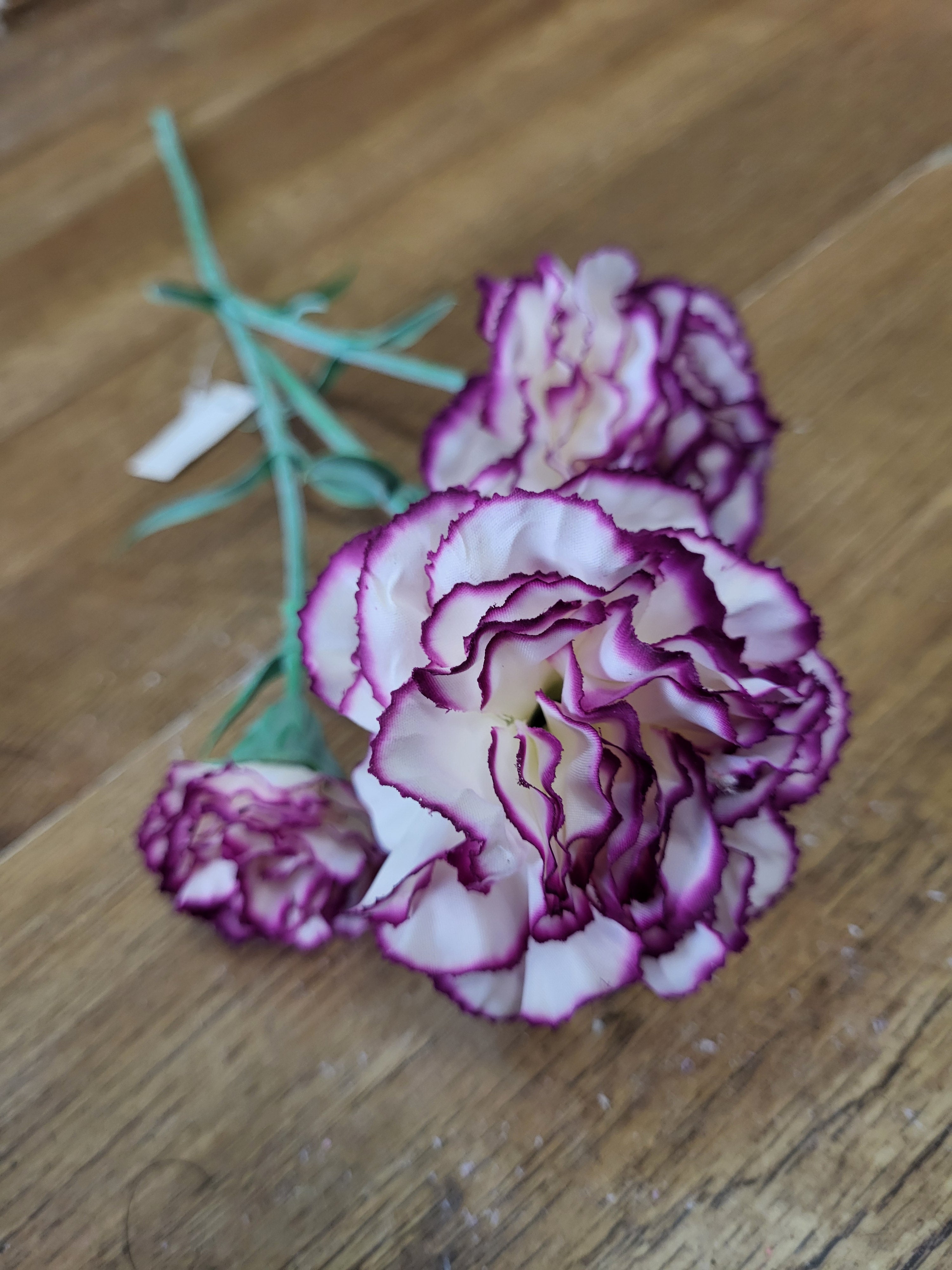 Long stem magenta and white triple head carnation  image 1
