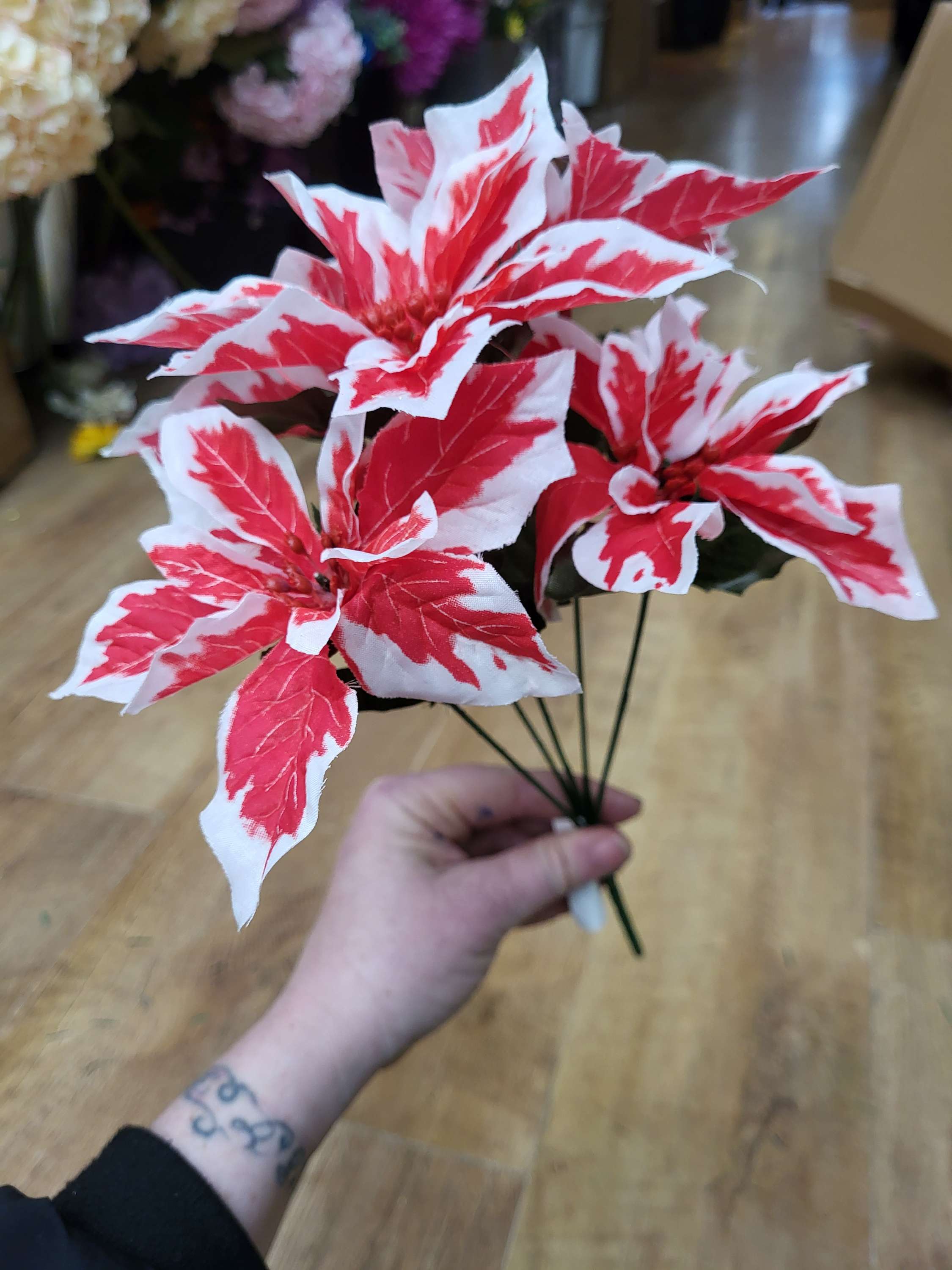Red and white poinsettia bunch image 1