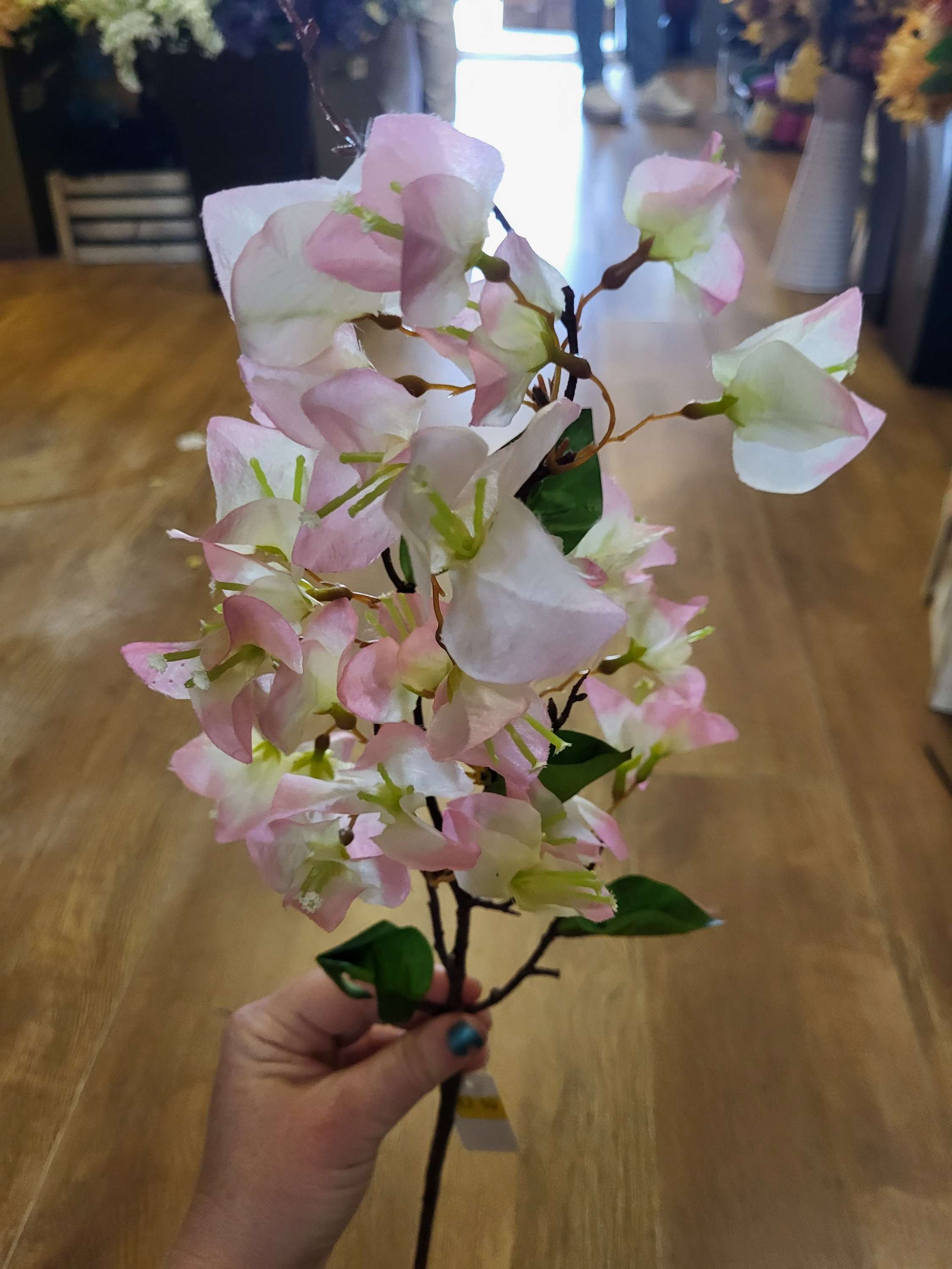 Pink bougainvillea stem image 0