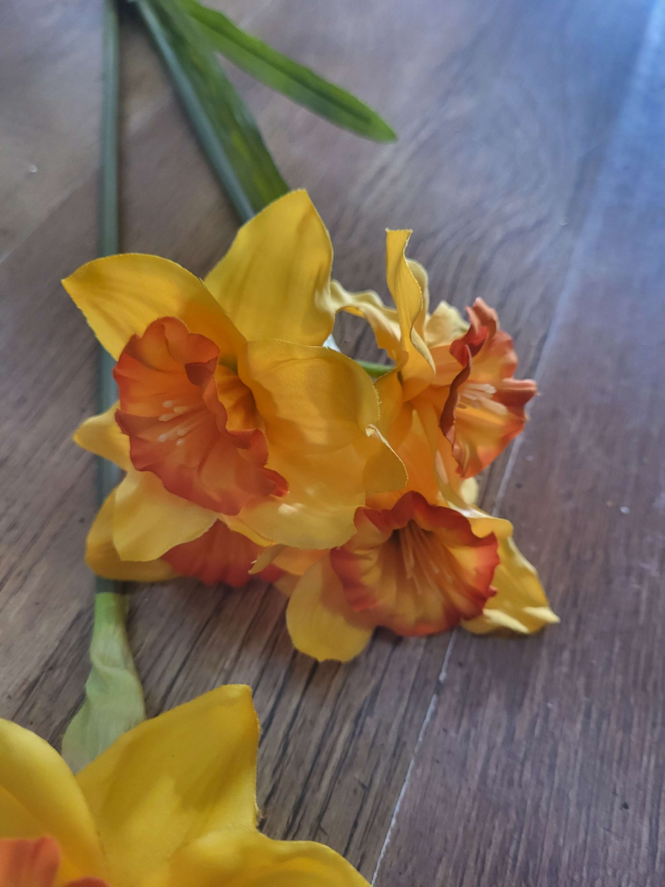 Long stem ruffled daffodil spray image 2