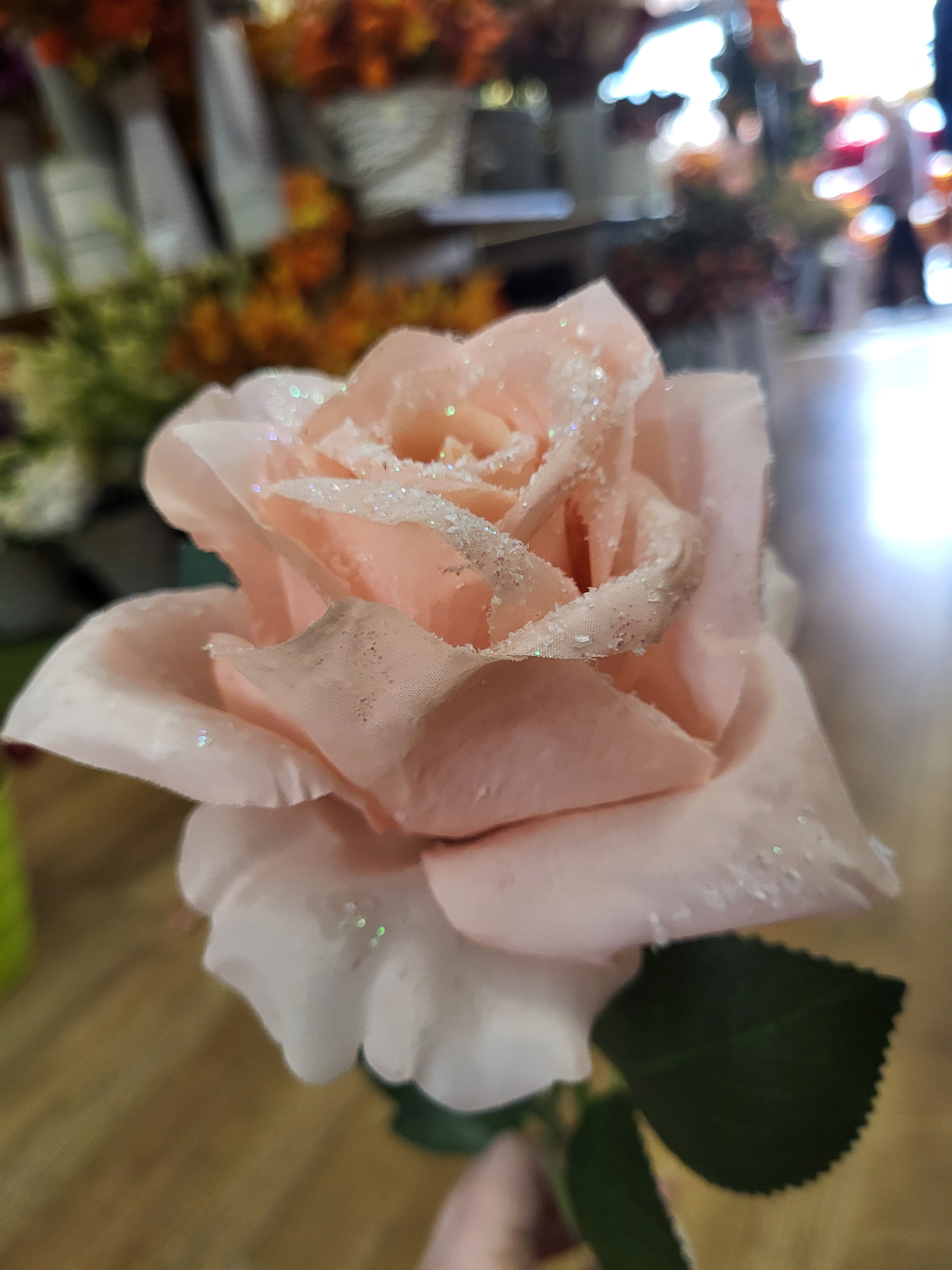 Long stem single frosted soft pink Rose image 0