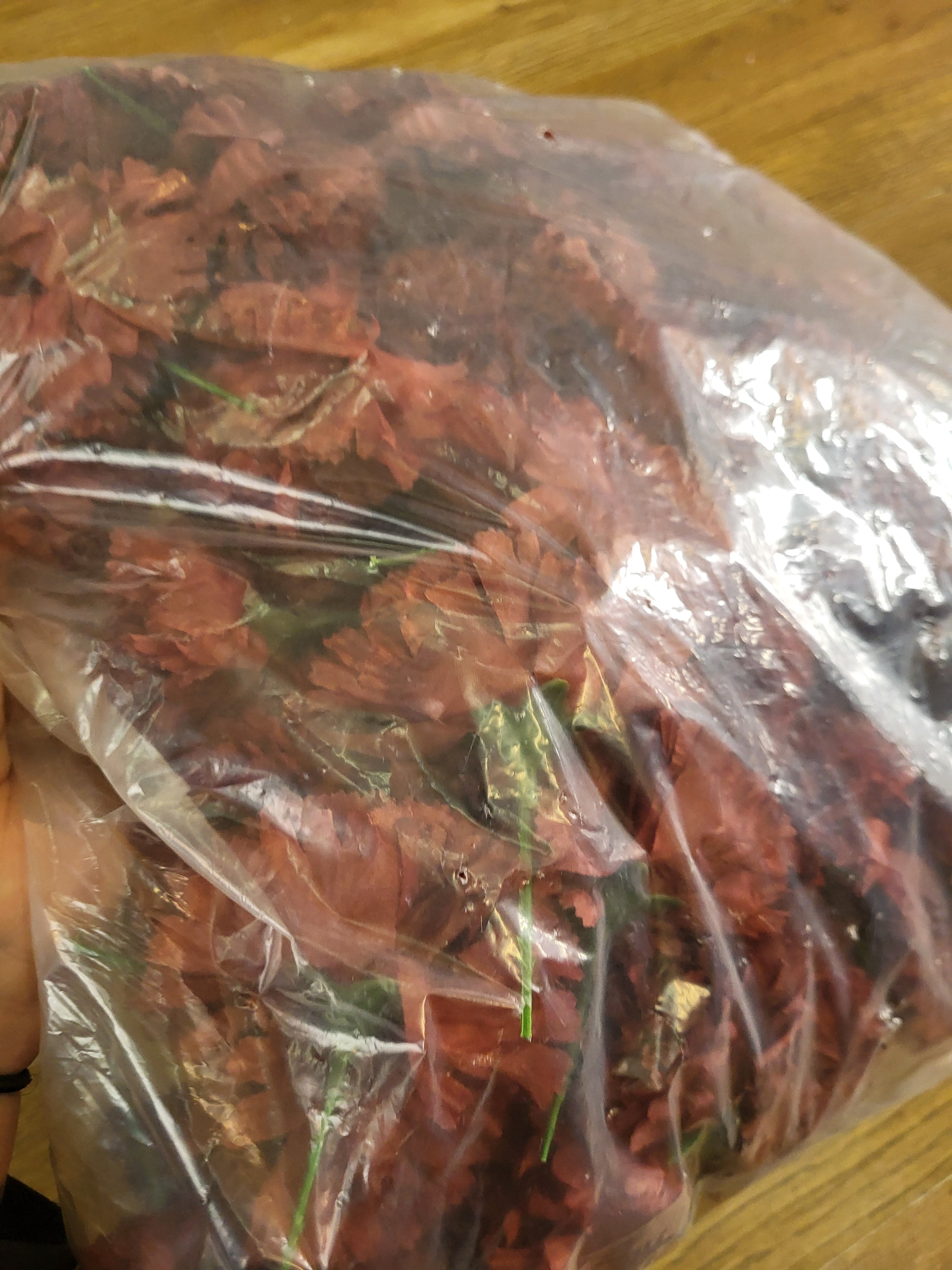 Bag of 144 brown carnation picks image 2