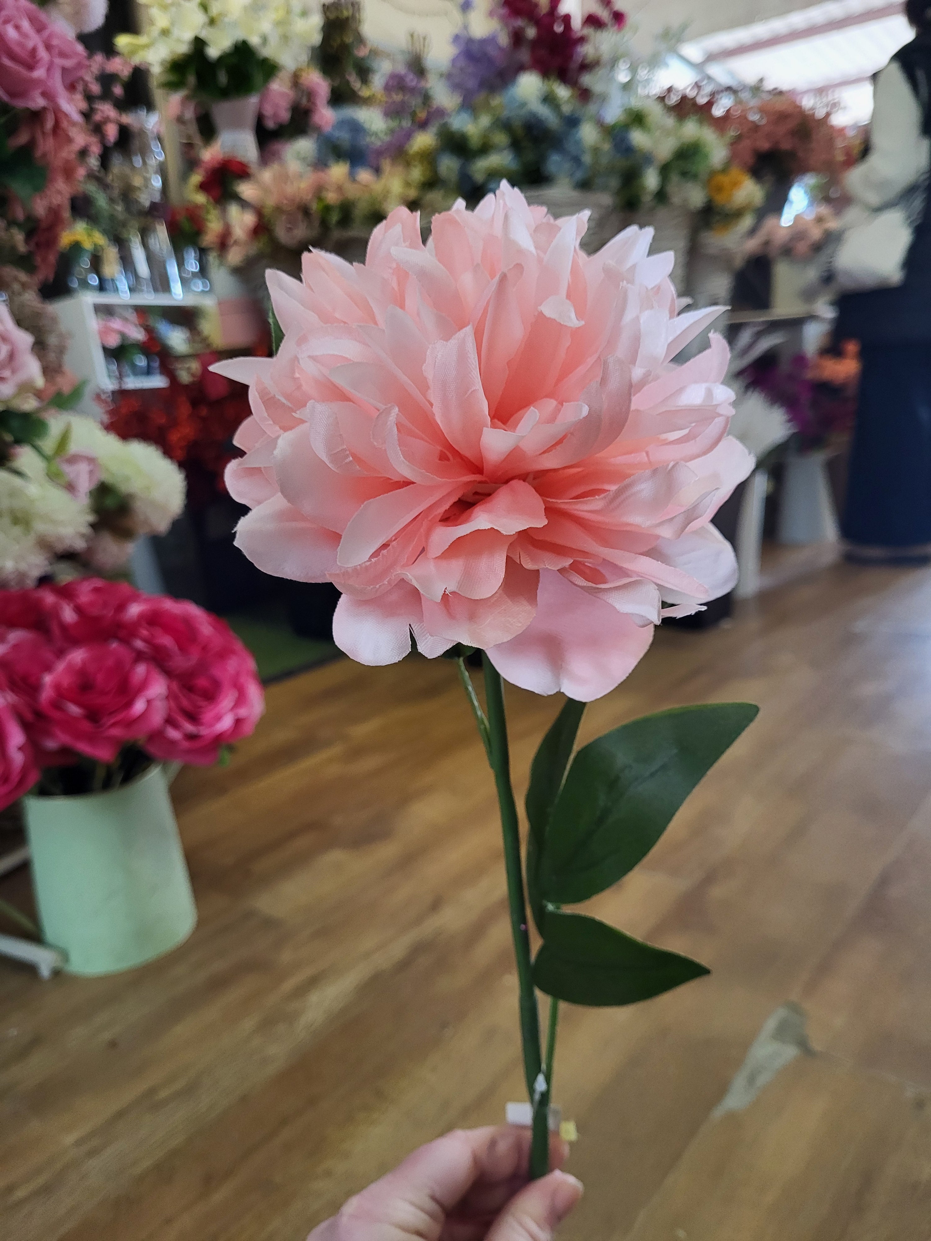 Long stem pale pink spiky mum image 1