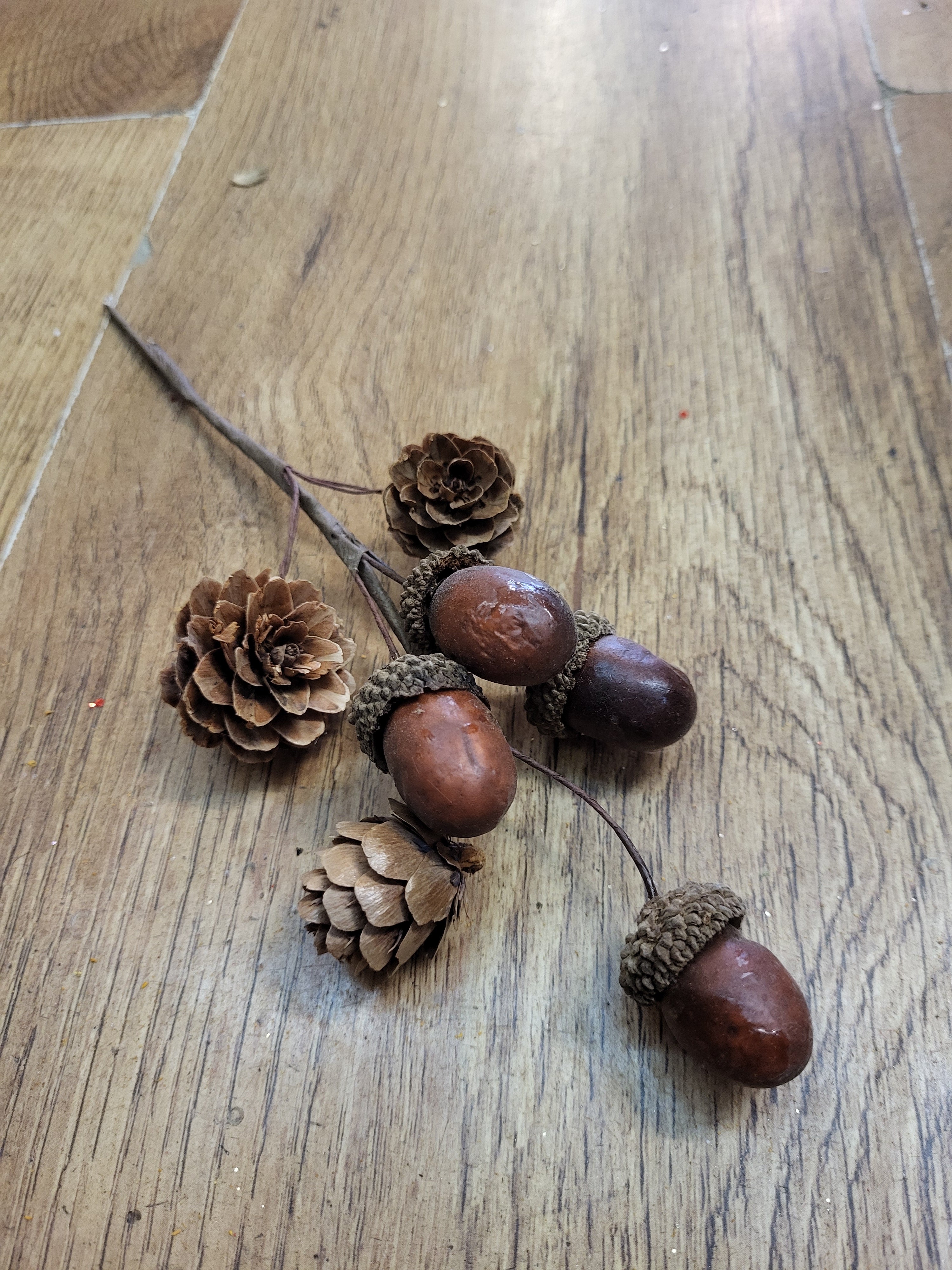 Acorn and cone pick image 0