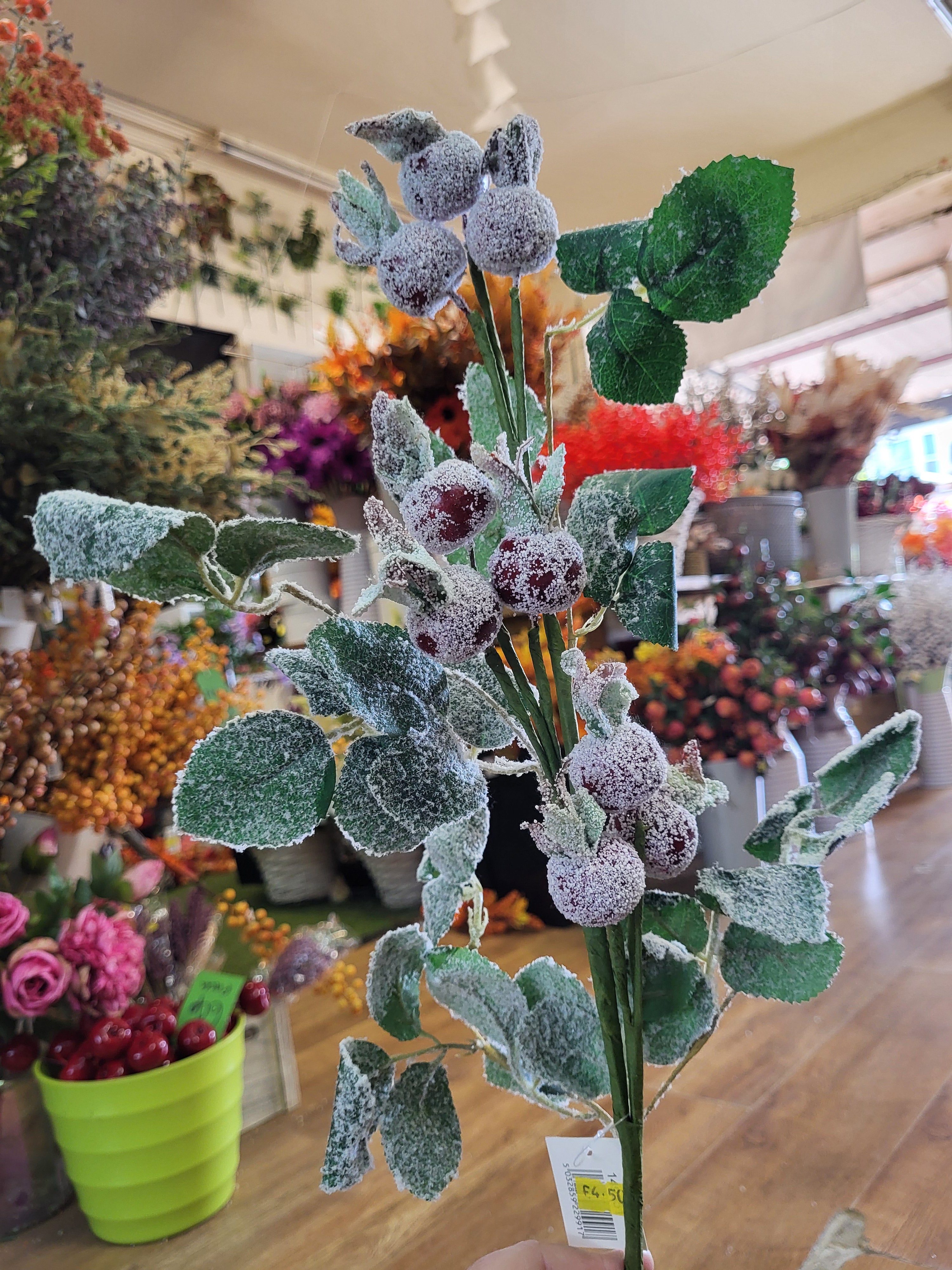 58cm Tall frosted winter Rosehip spray image 0