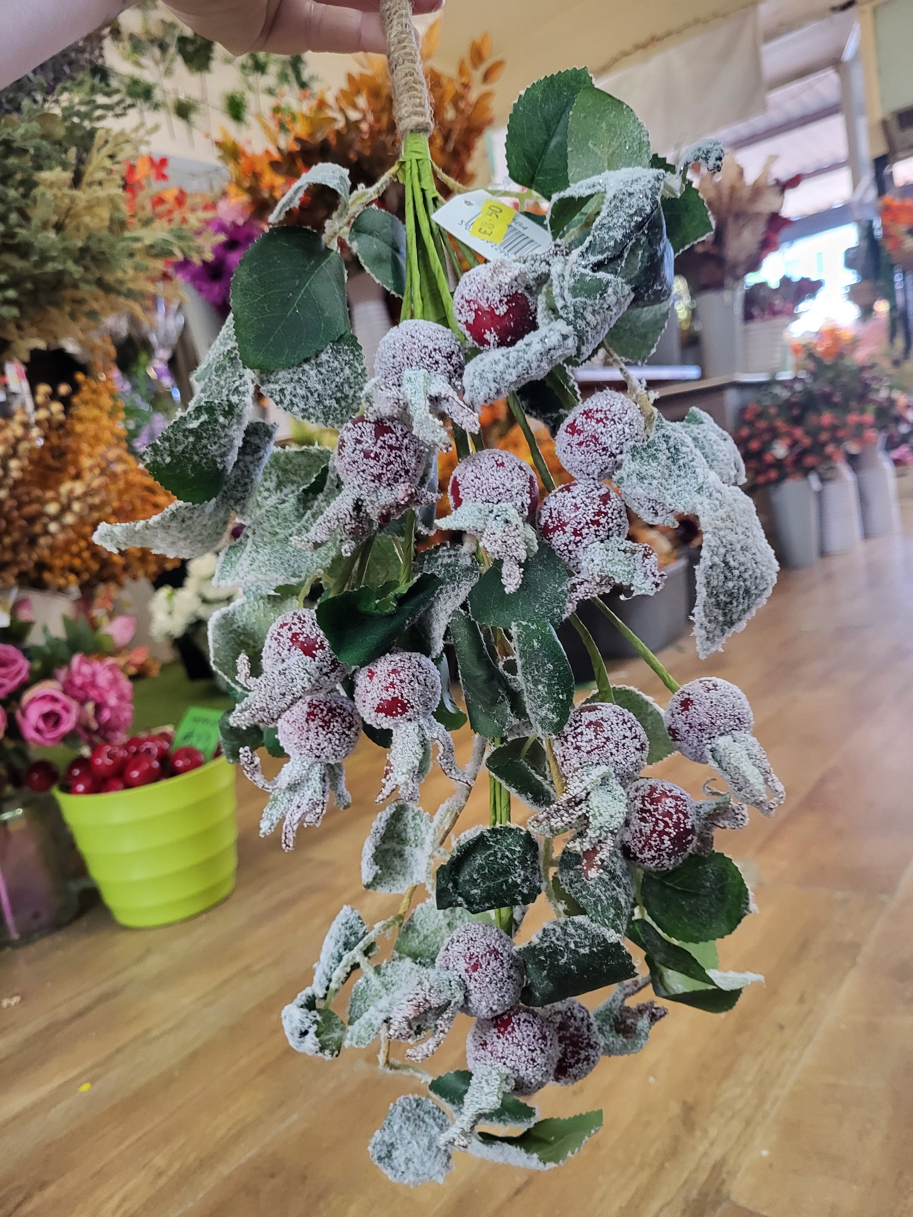 Premium frosted Rosehip Winter swag image 0