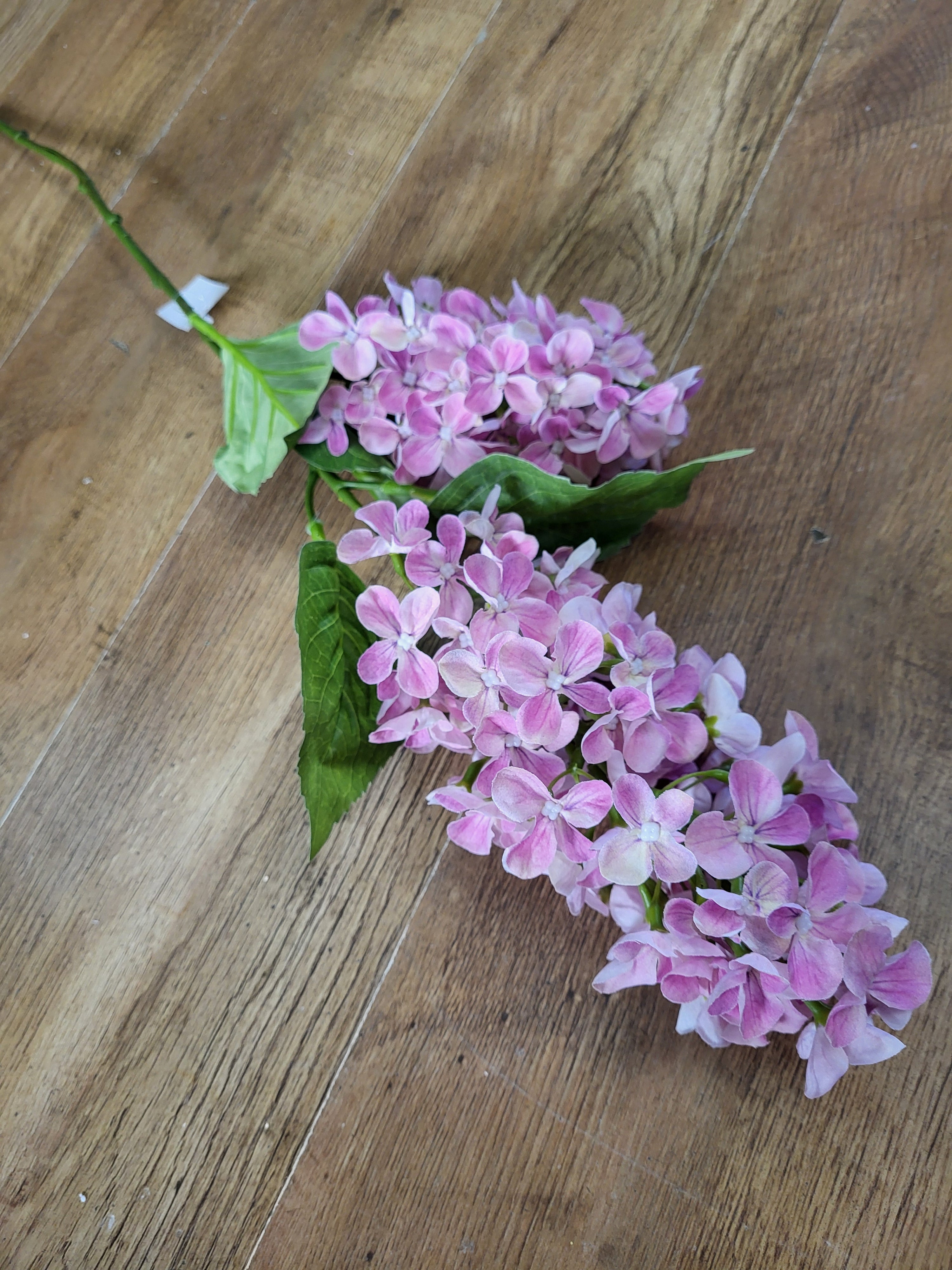 Long stem light pink paniculata hydrangea  image 5