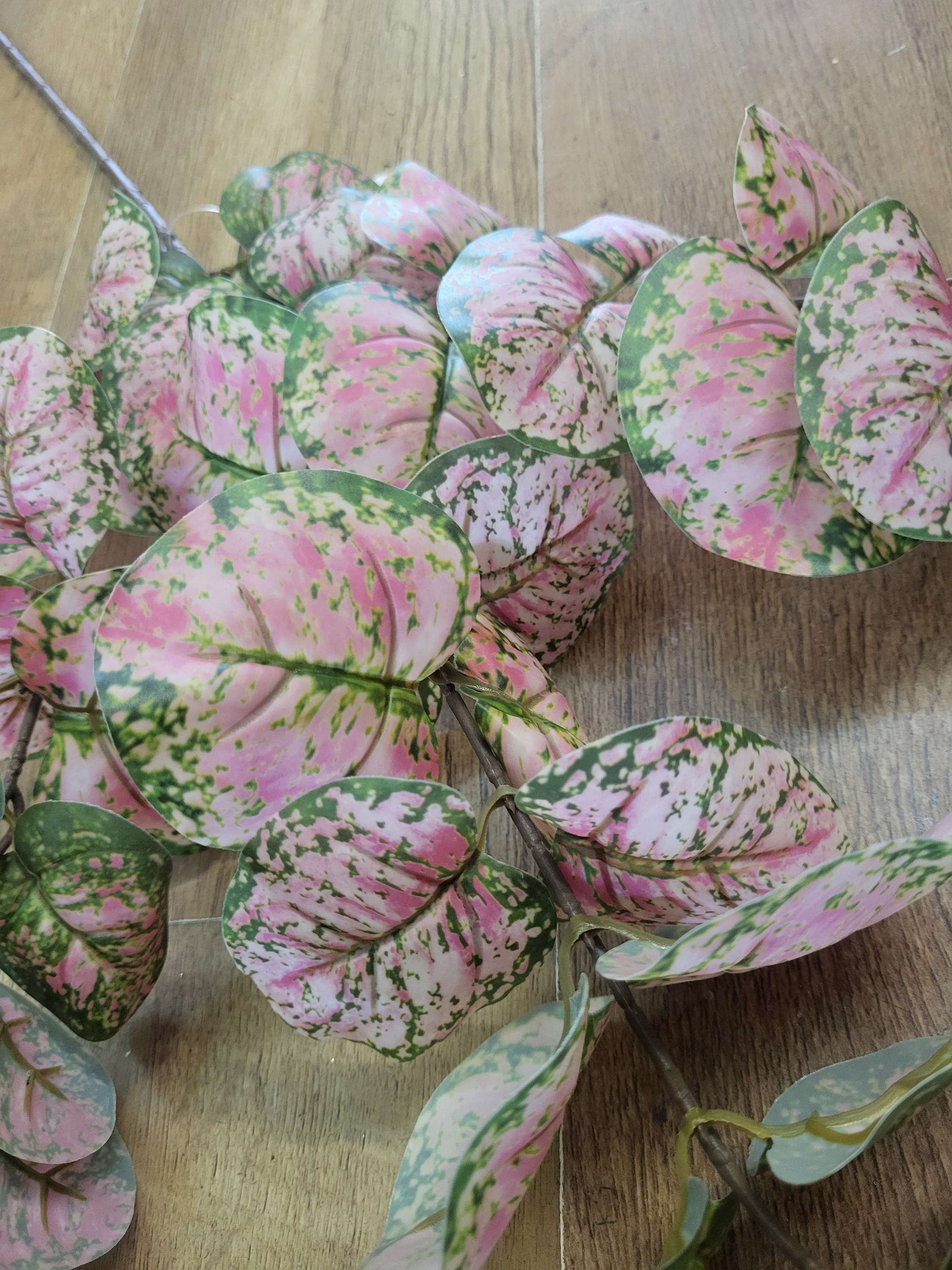 Long stem pink and green rounded eucalyptus spray image 4