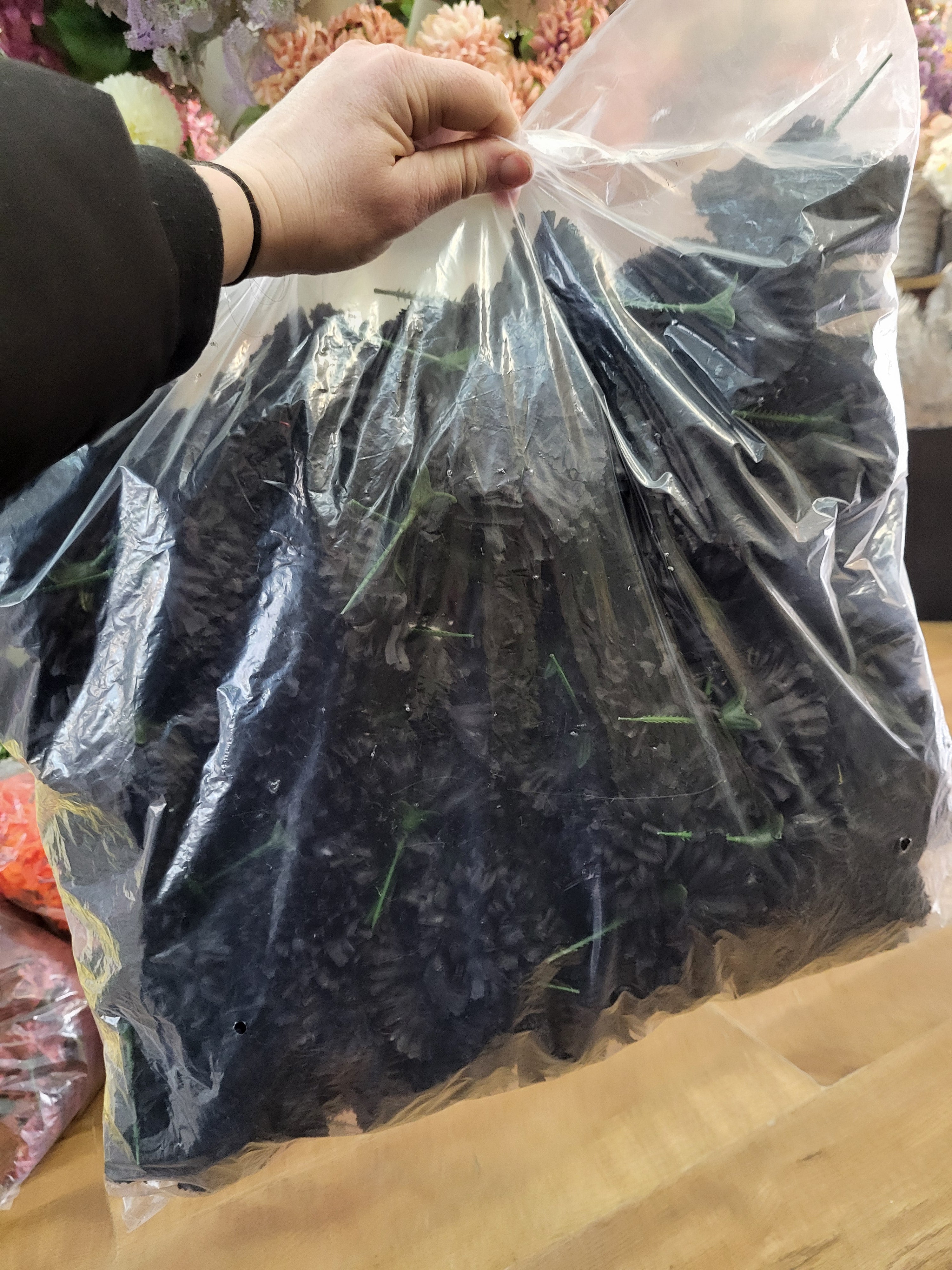 Bag of 144 black carnation picks image 0