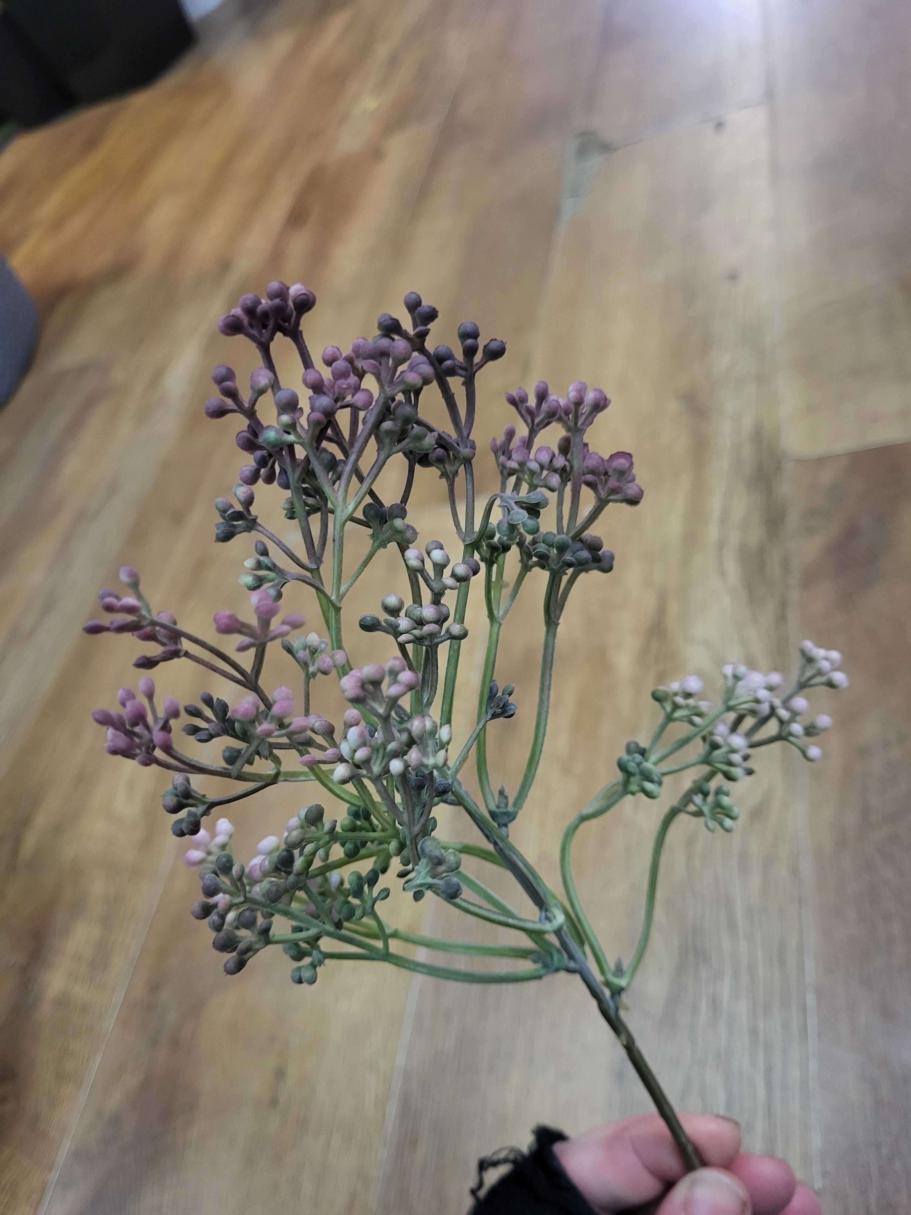 Dusky vintage pink Felicity bud pick image 1