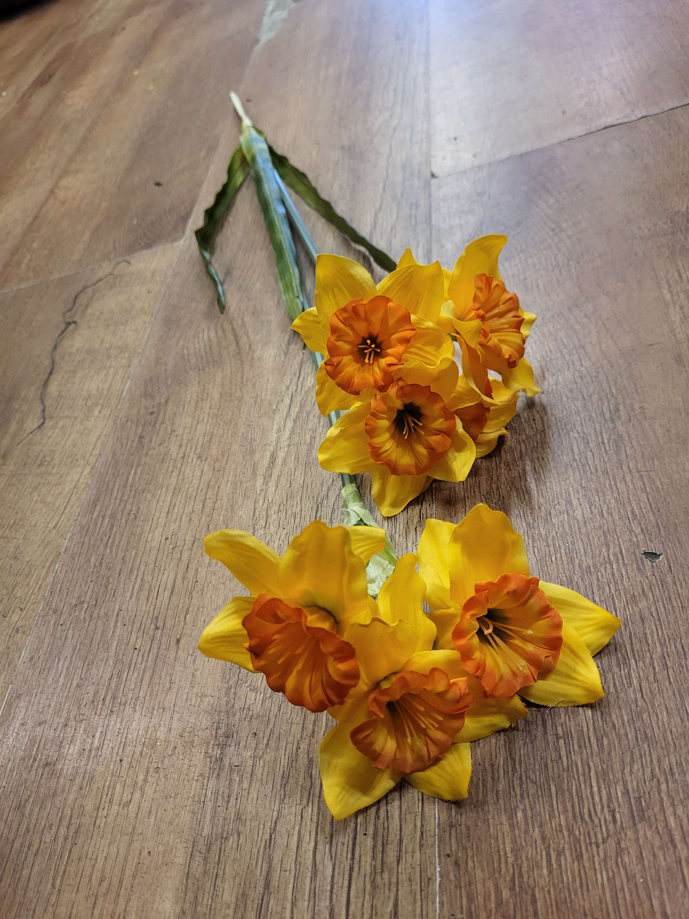 Long stem daffodil  image 2