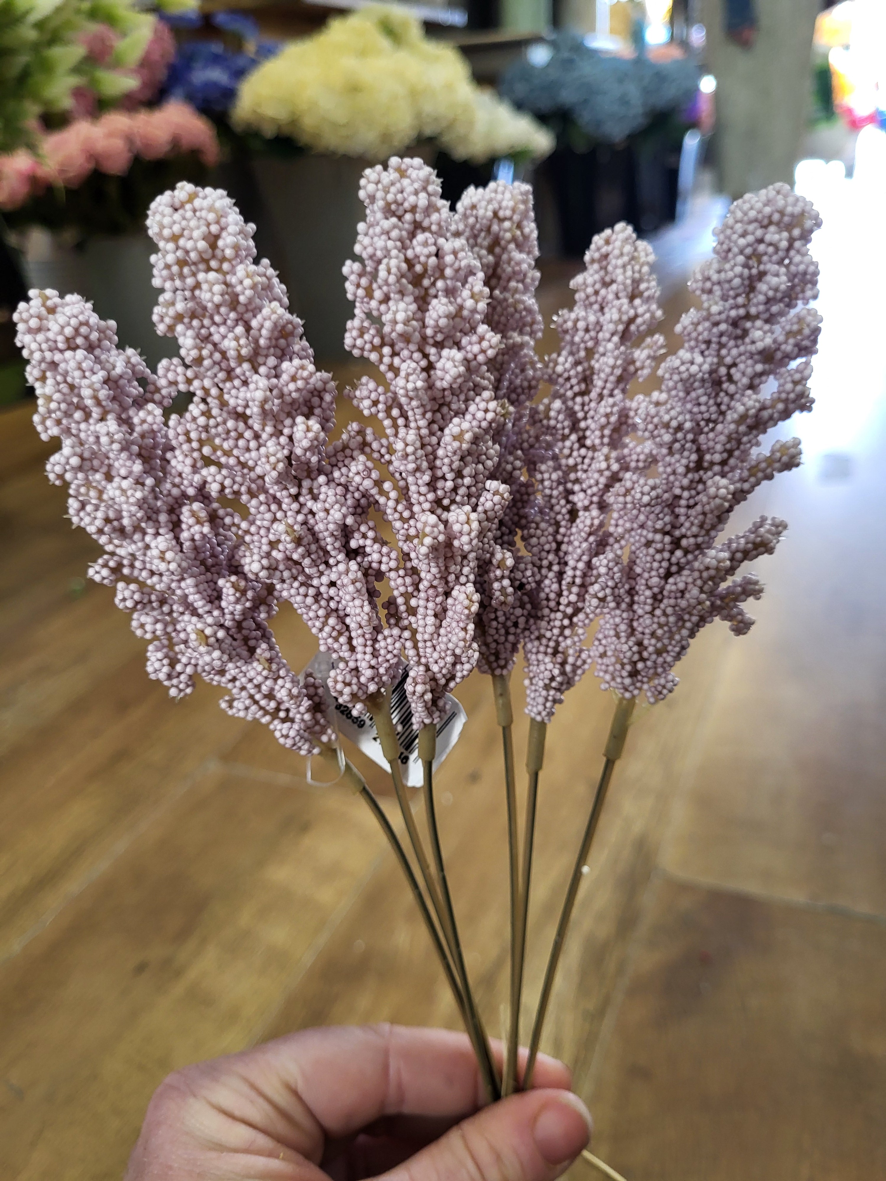 Bundle of 6 wheat stems - 4 colours available image 4