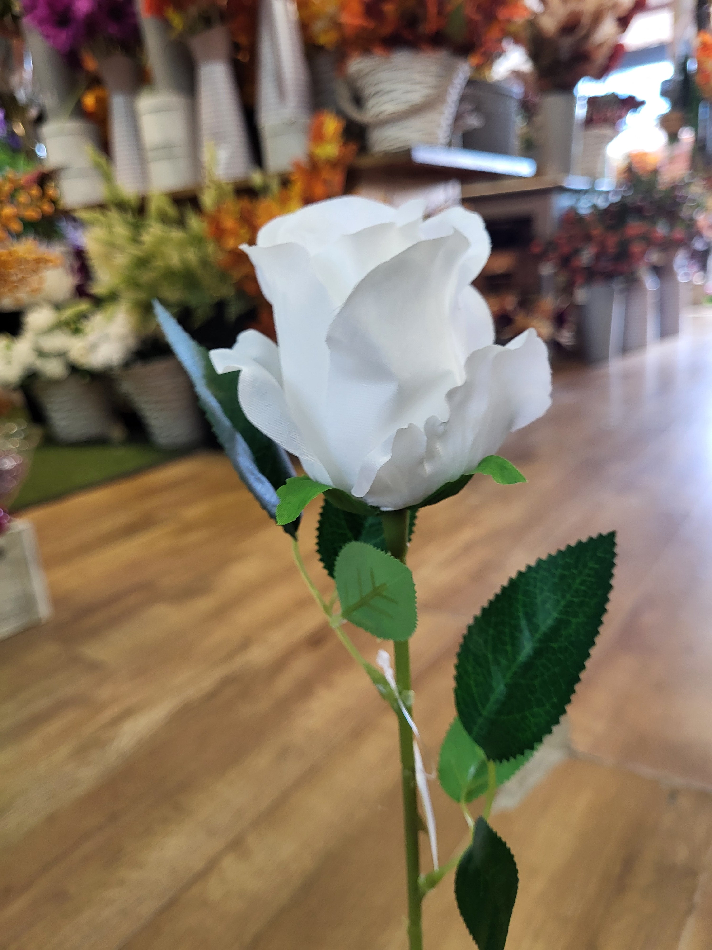 Single white Celia Rose  image 5