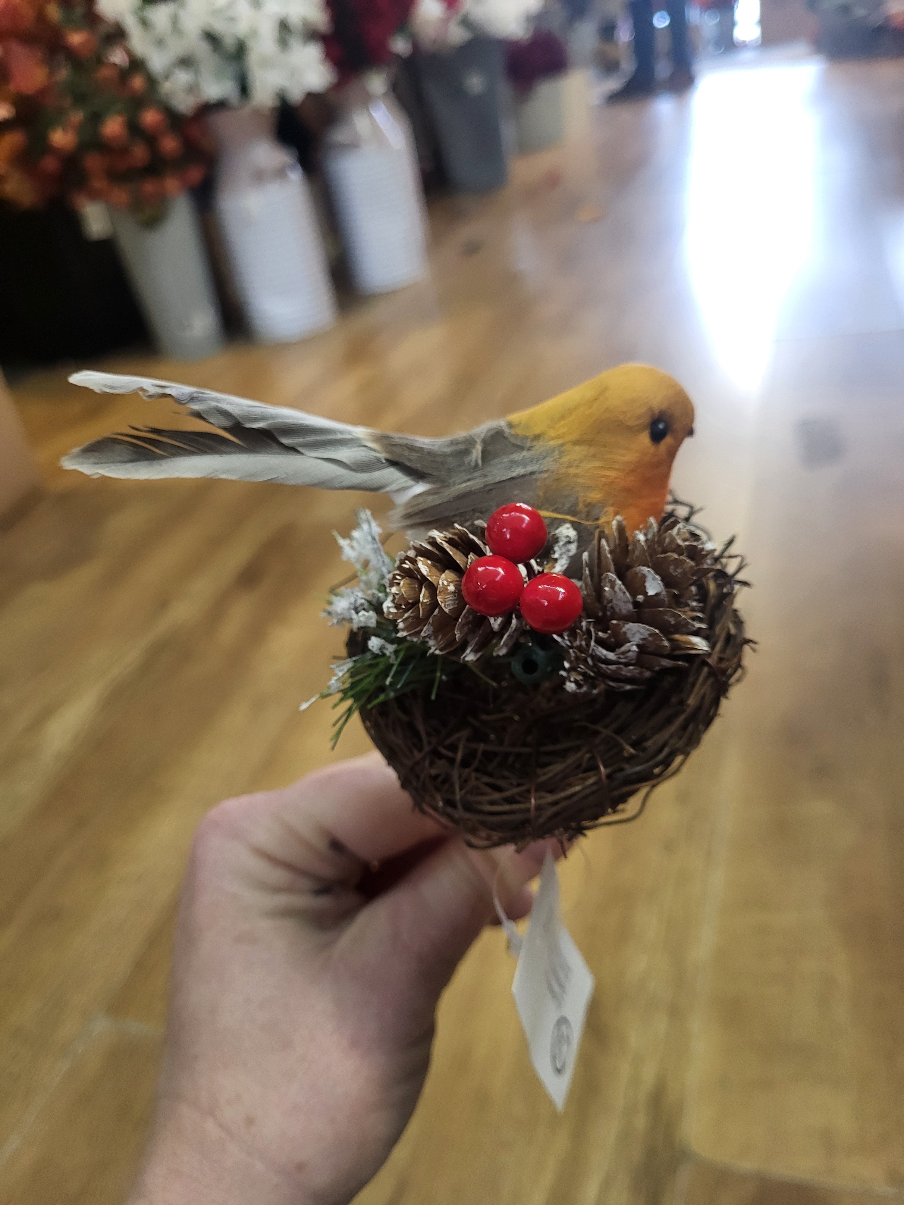 Robin in a nest pick image 2