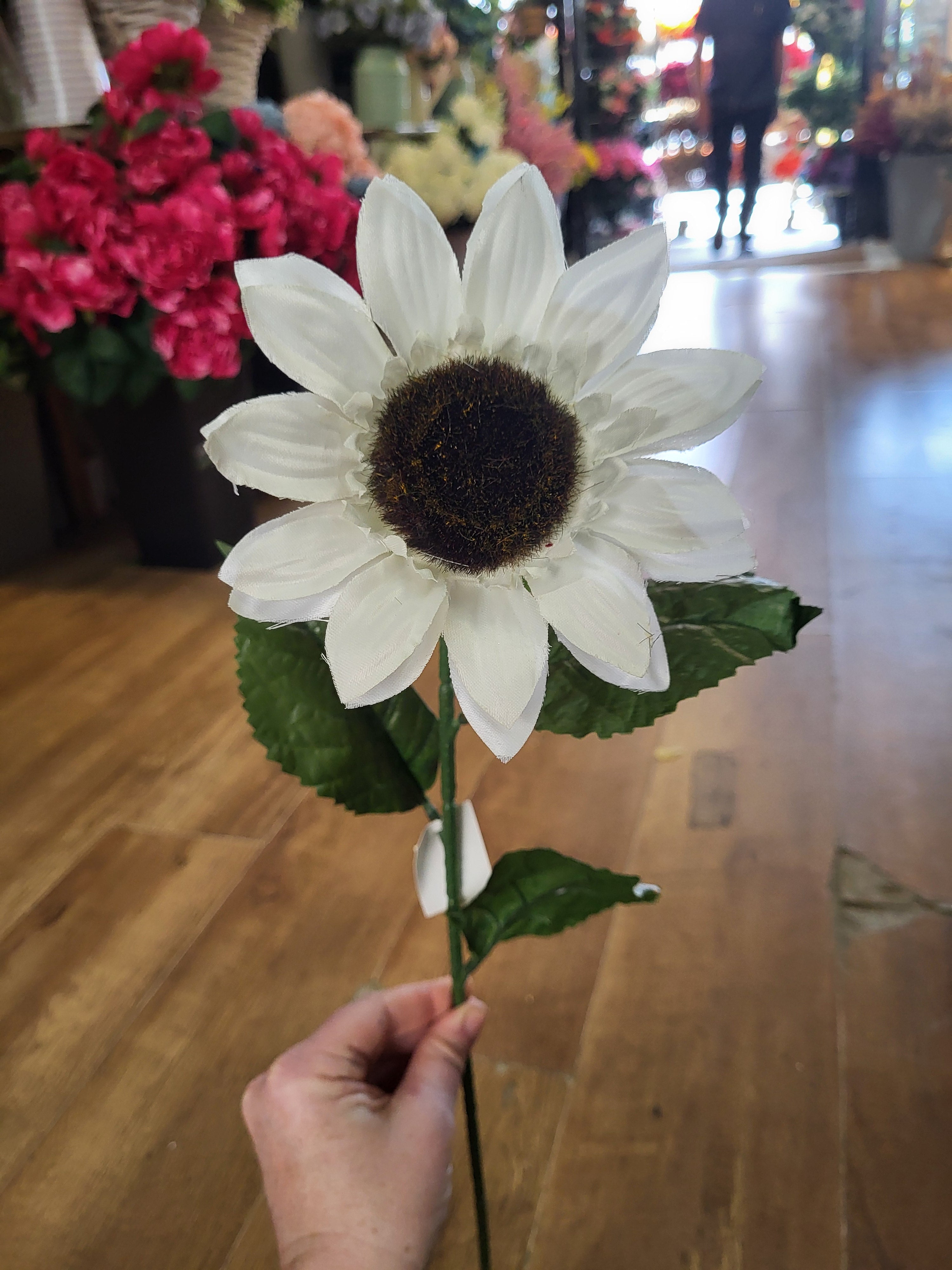 Clearance!! Long stem white sunflower  image 3