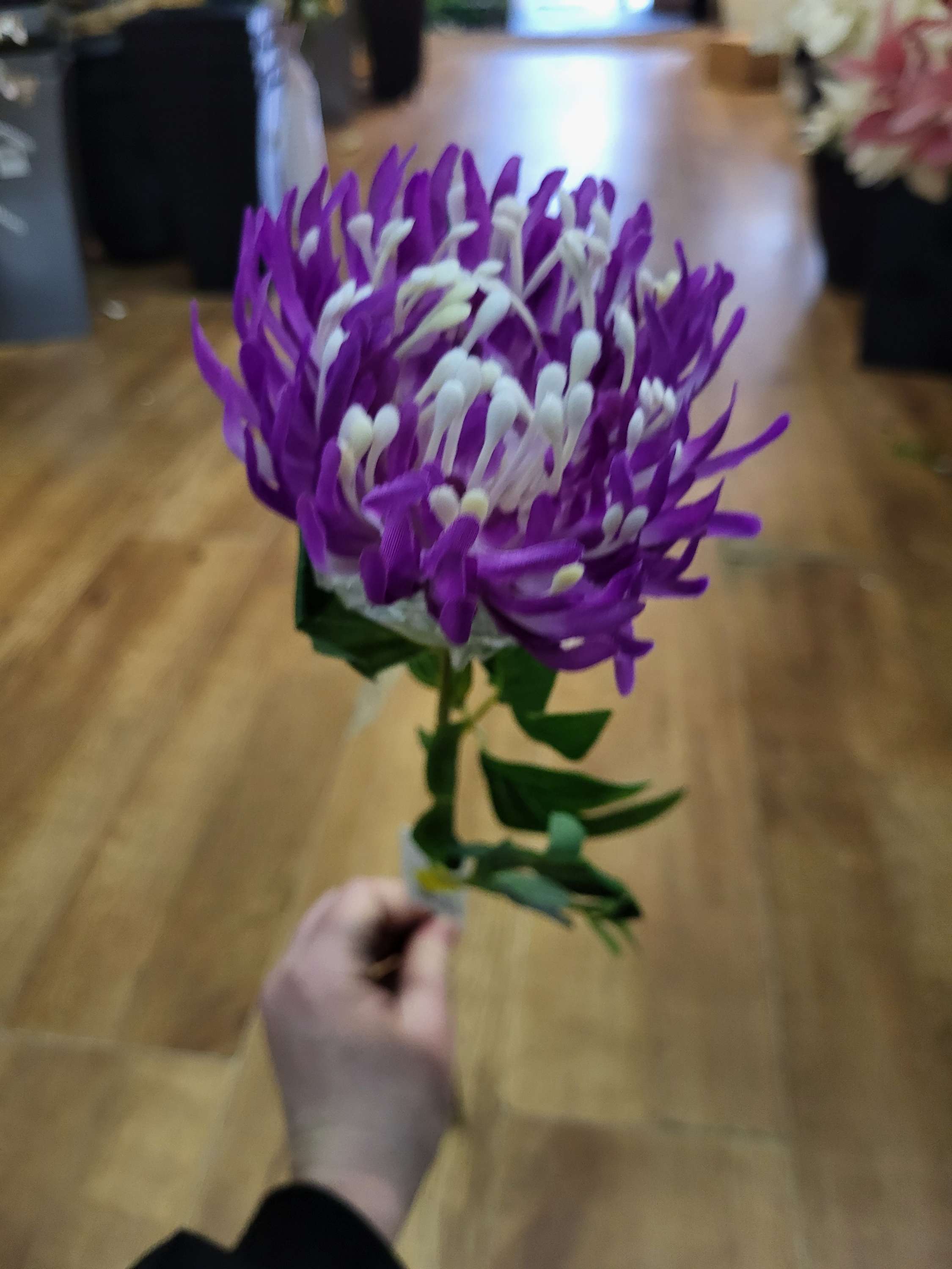 Long stem single chrysanthemum  - 3 colours available image 3