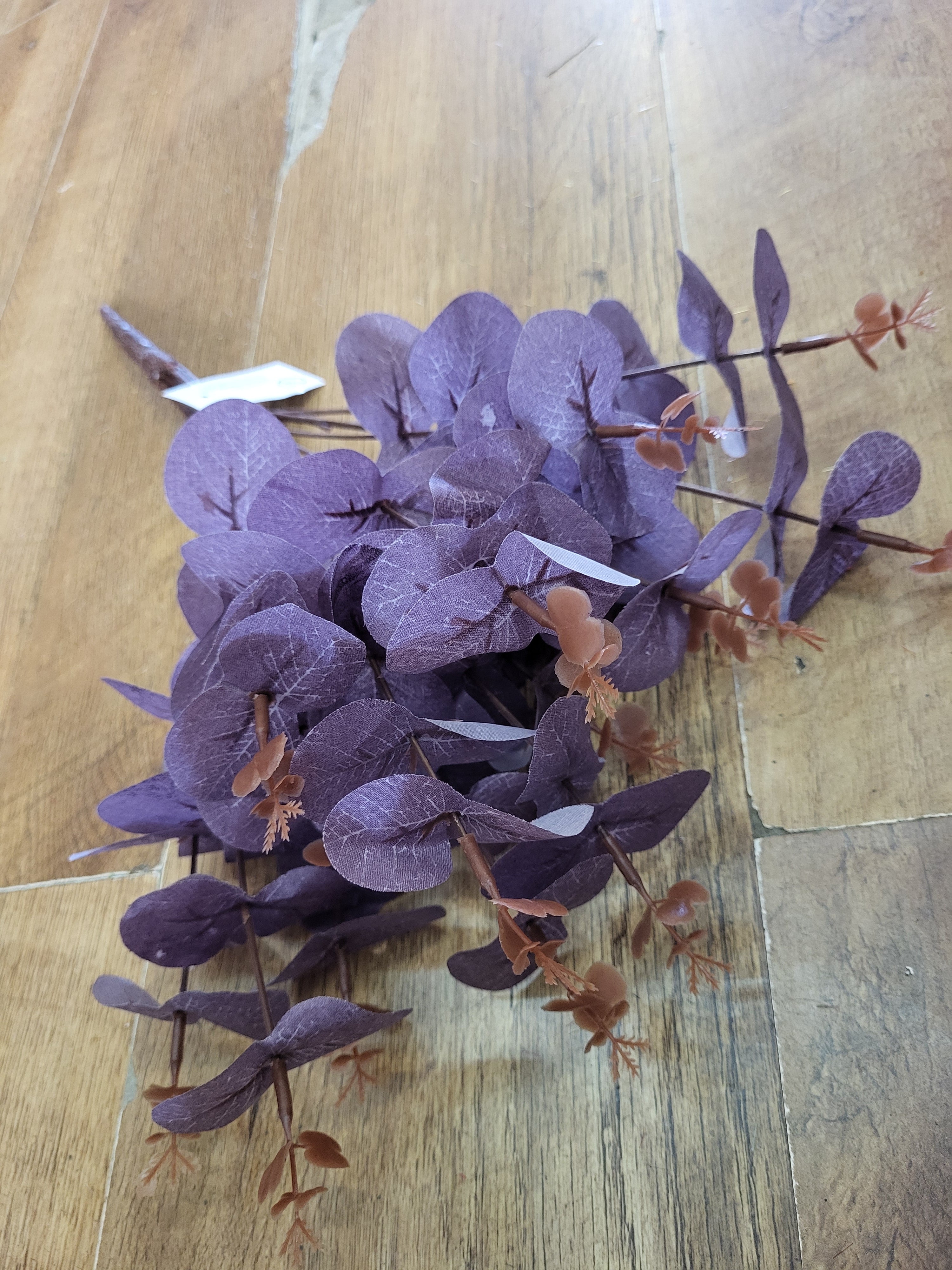 Big bunch purple eucalyptus  image 0