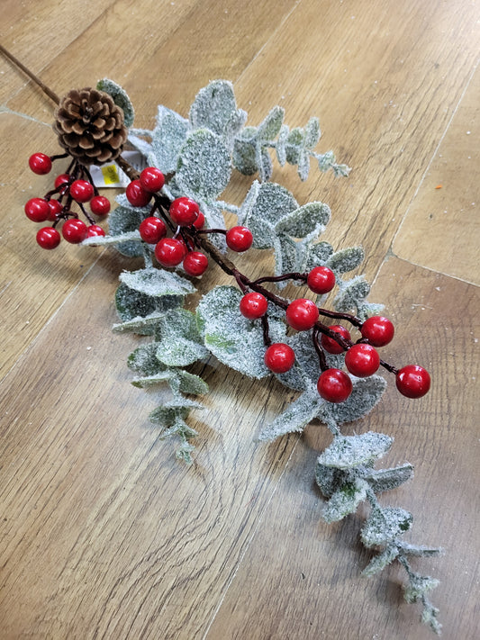 Long stem frosted eucalyptus and red berries winter branch  image 0
