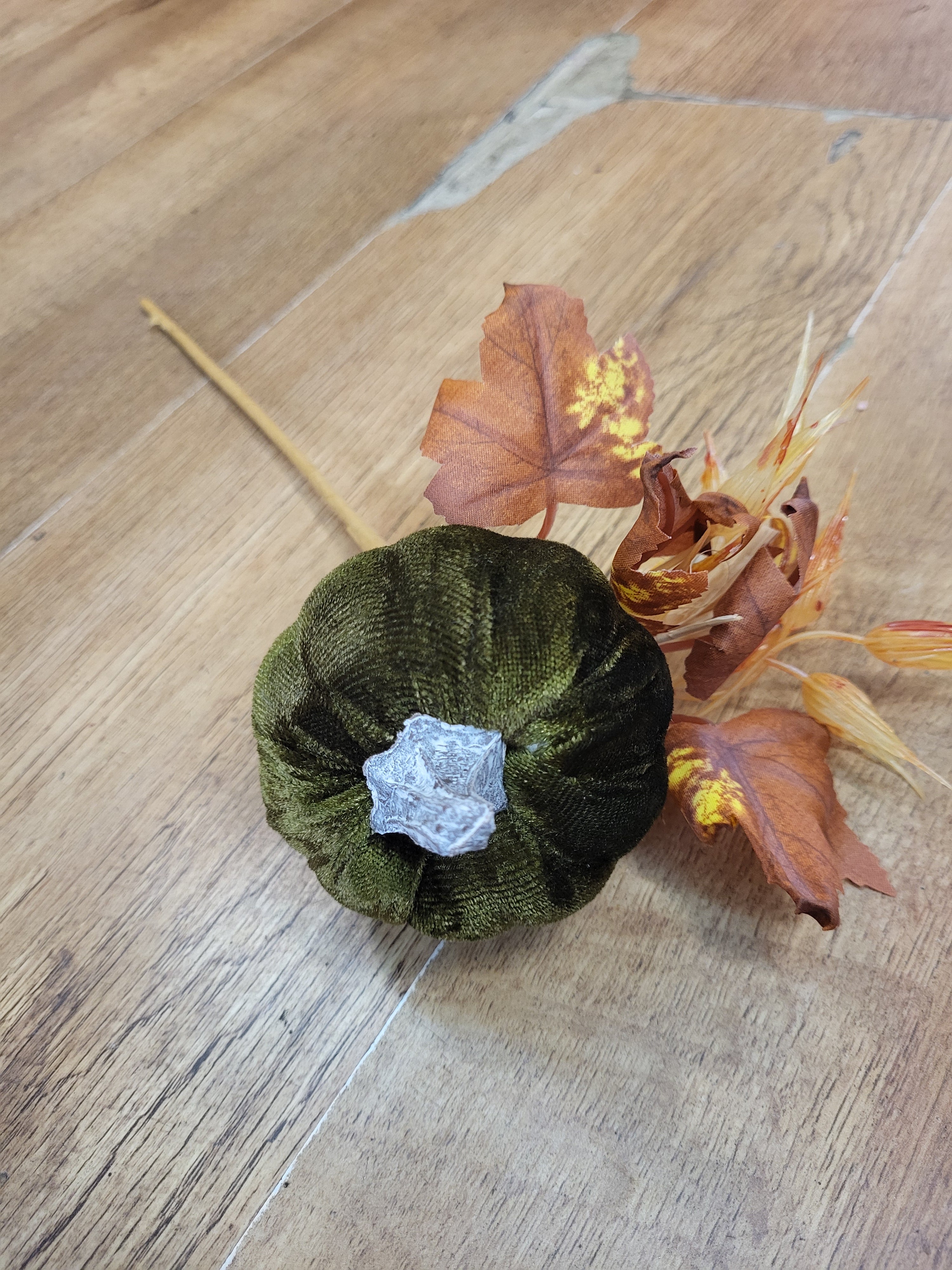 Medium Green velvet pumpkin stem  image 1