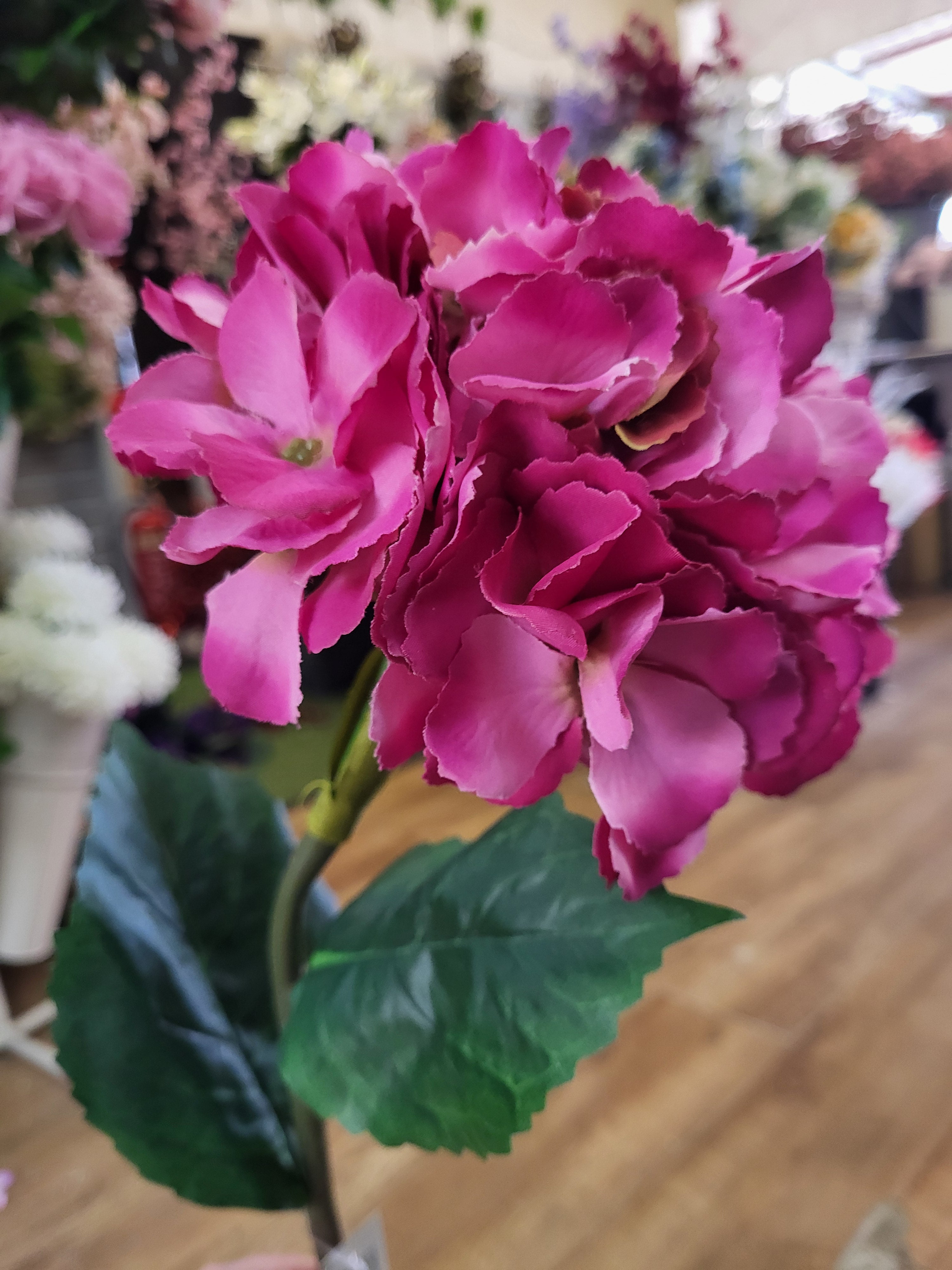 Long stem hot pink mophead hydrangea  image 1