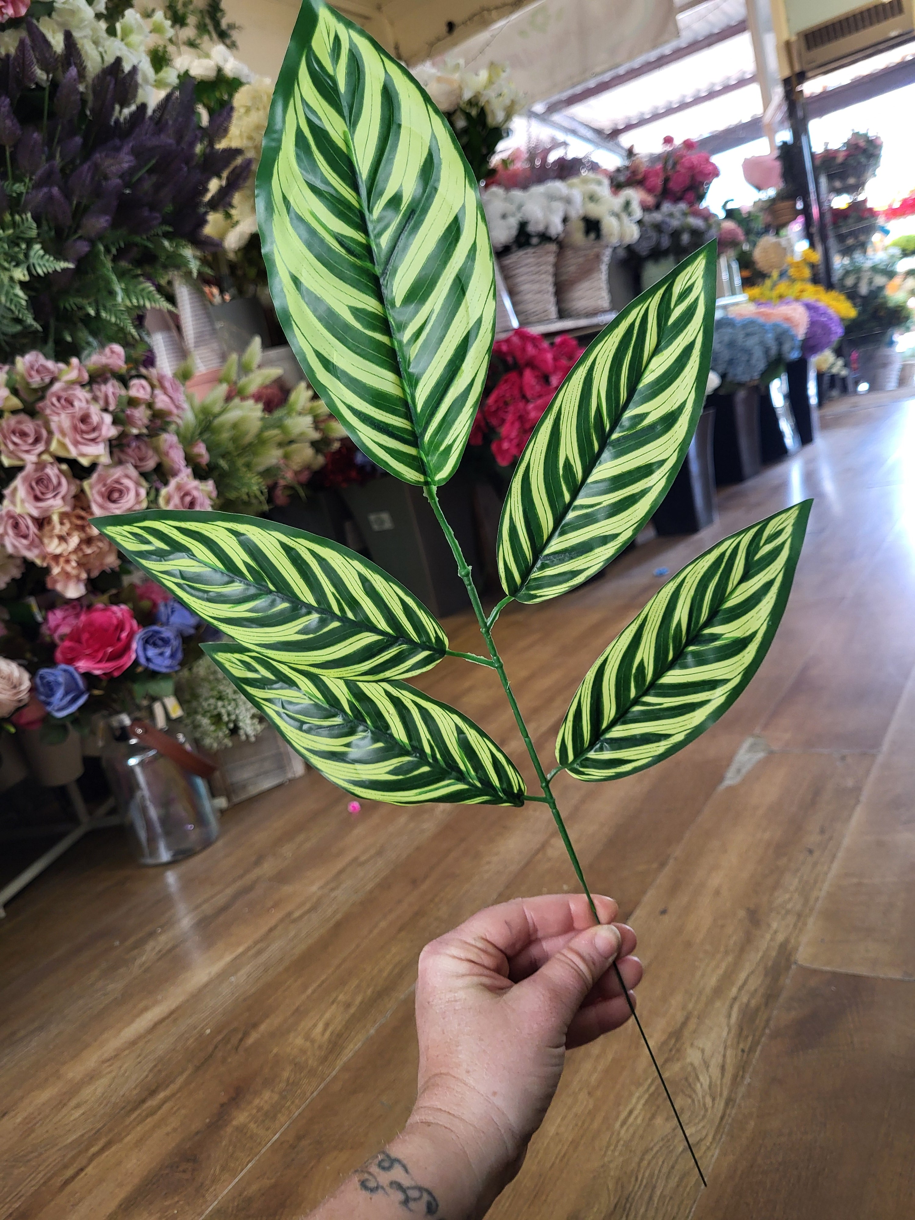 Striped large leaf pick image 2