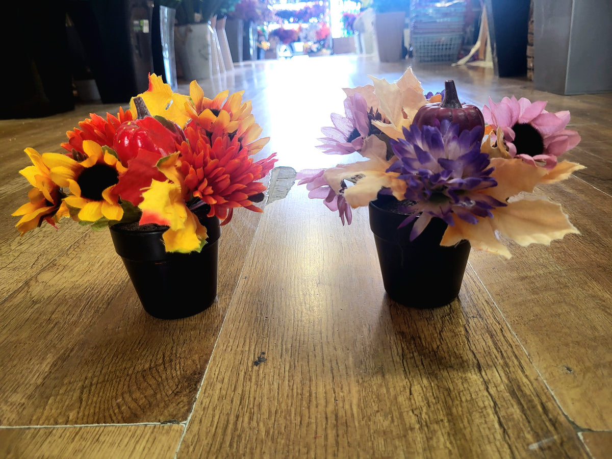 Small autumnal filled pots - 2 colours available image 1
