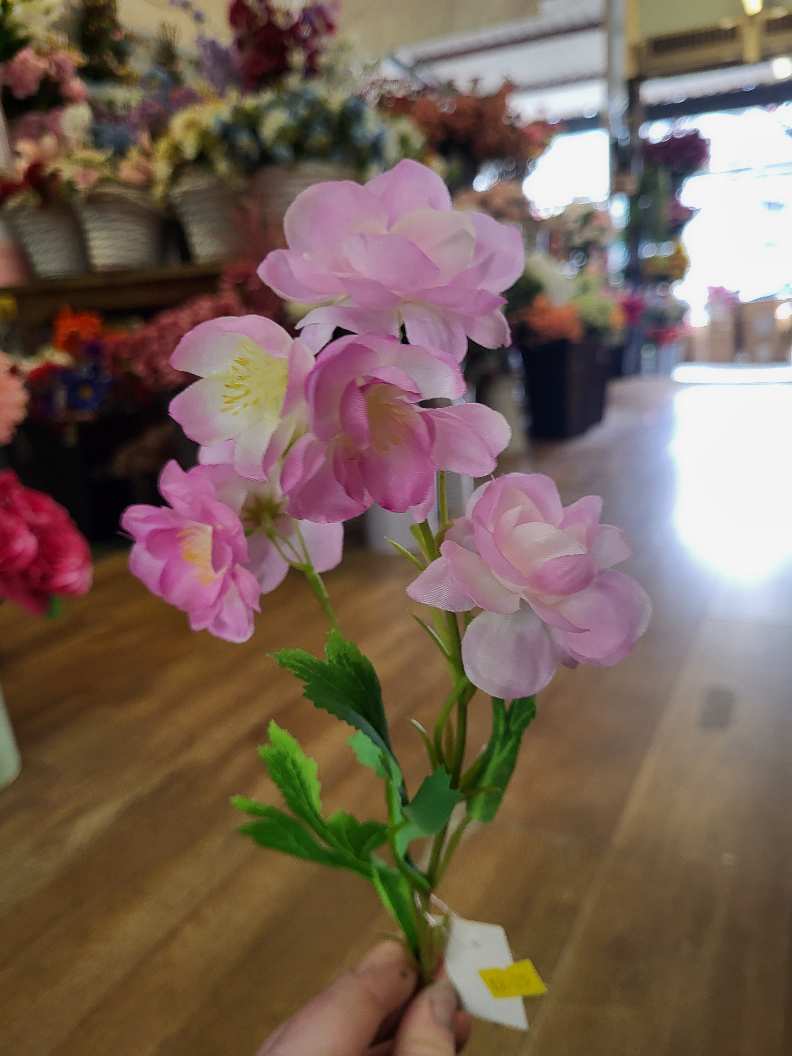 Short stem pink Delia  image 5