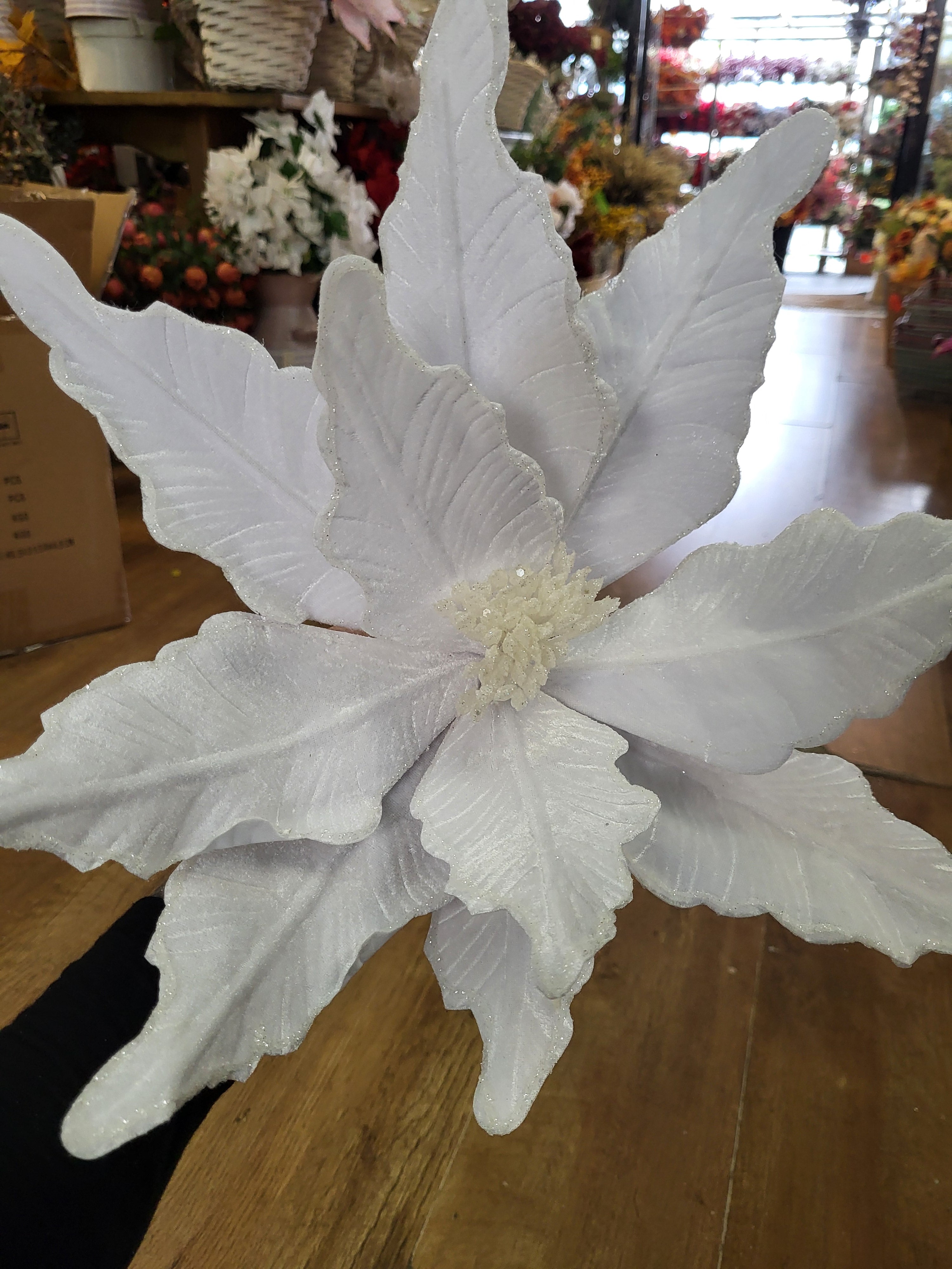 Luxury 50cm white velvet with glittered edge giant single poinsettia image 5