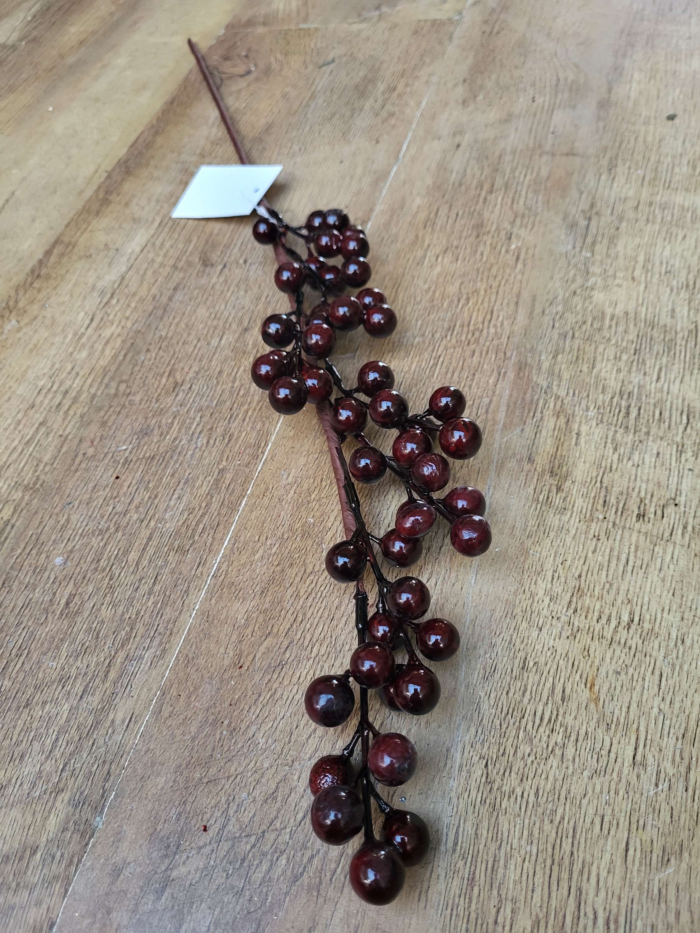 Darkest red toned berry stem  image 1