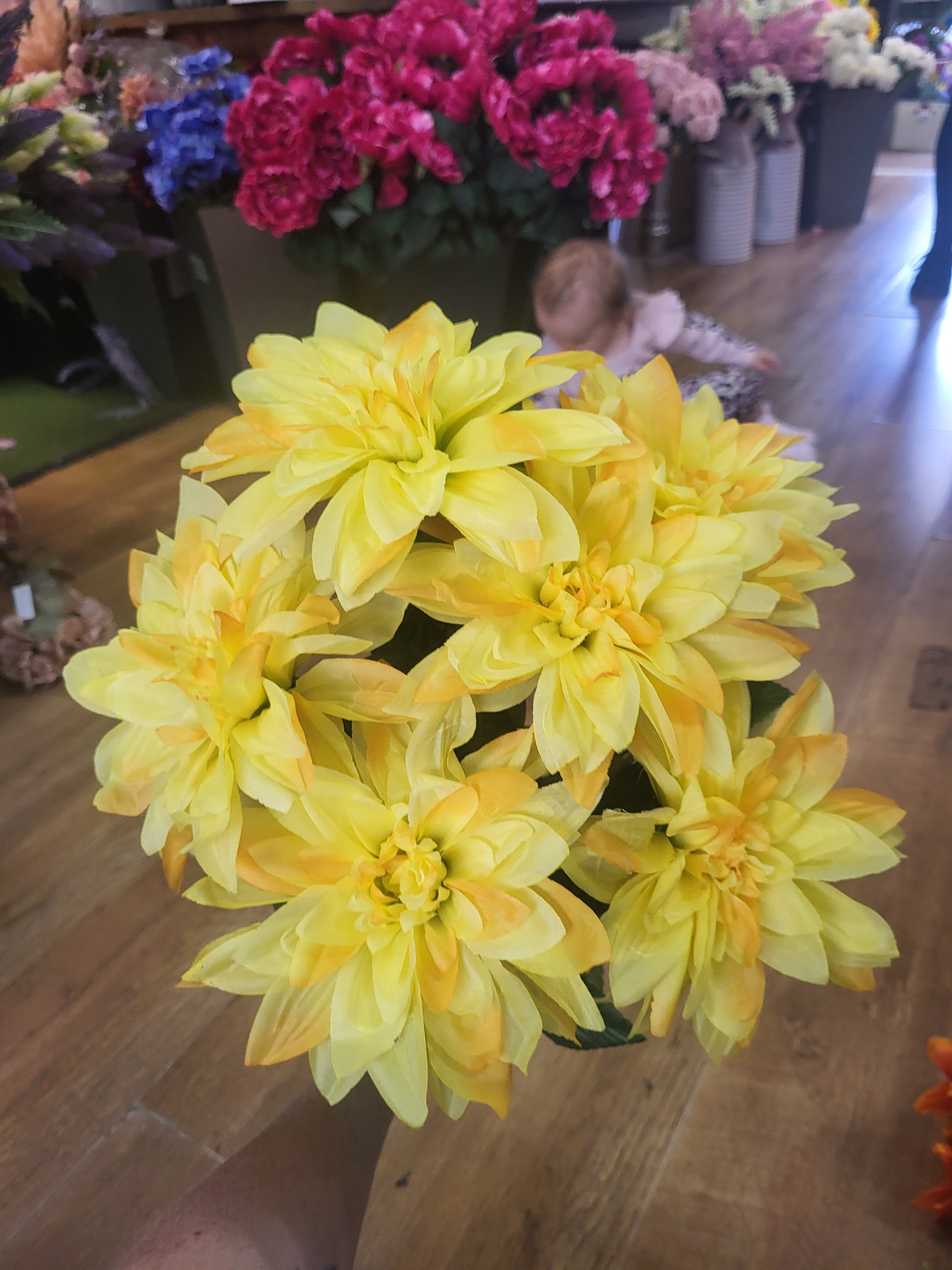 Large 7 headed yellow monarch dahlia bunch image 2