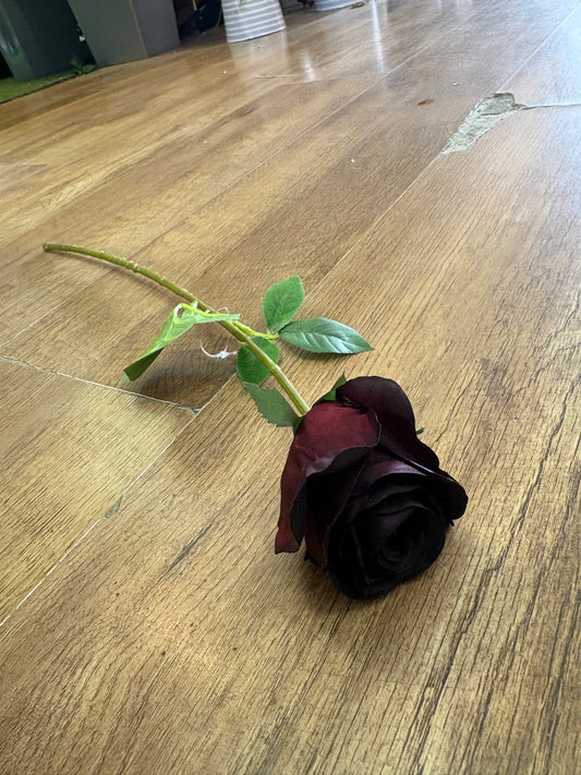 Medium length darkest burgundy rose