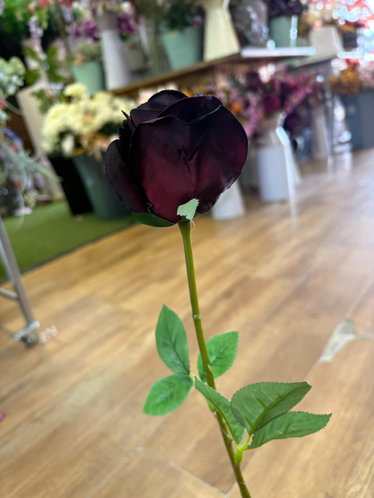 Medium length darkest burgundy rose