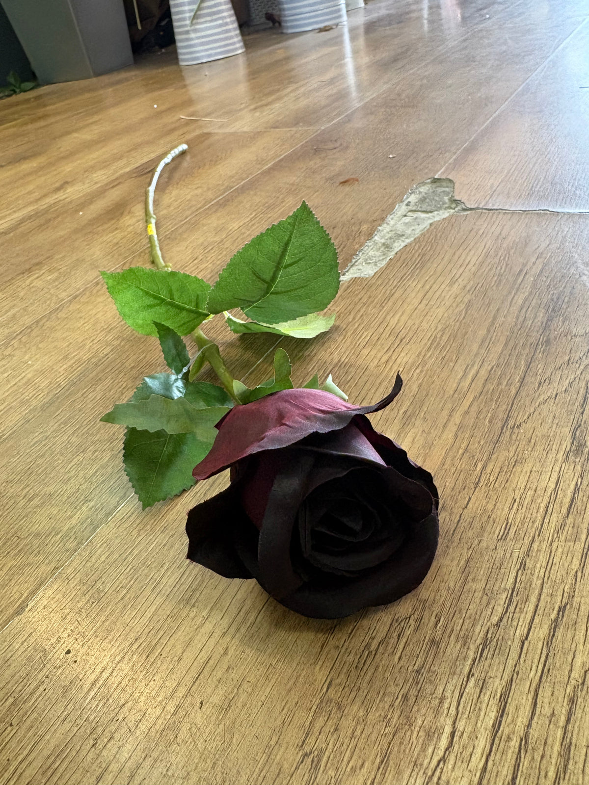 Long stem darkest burgundy rose