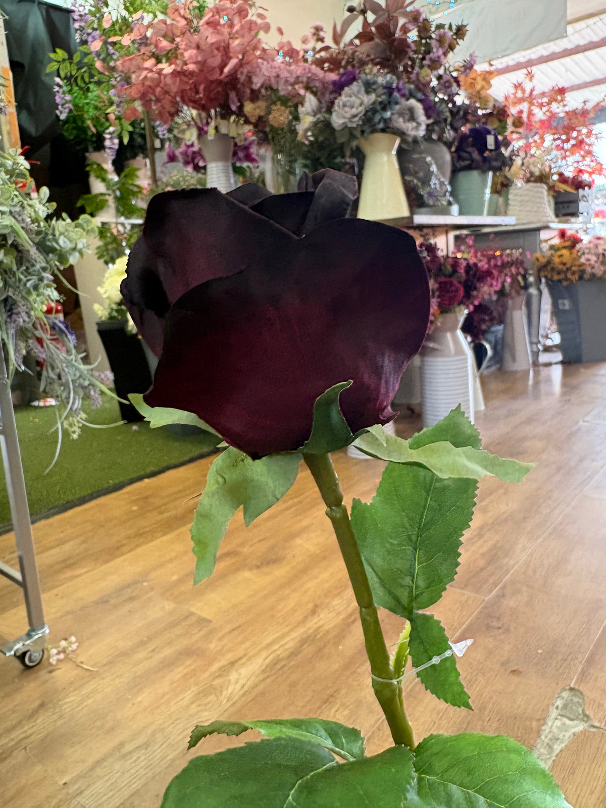 Long stem darkest burgundy rose
