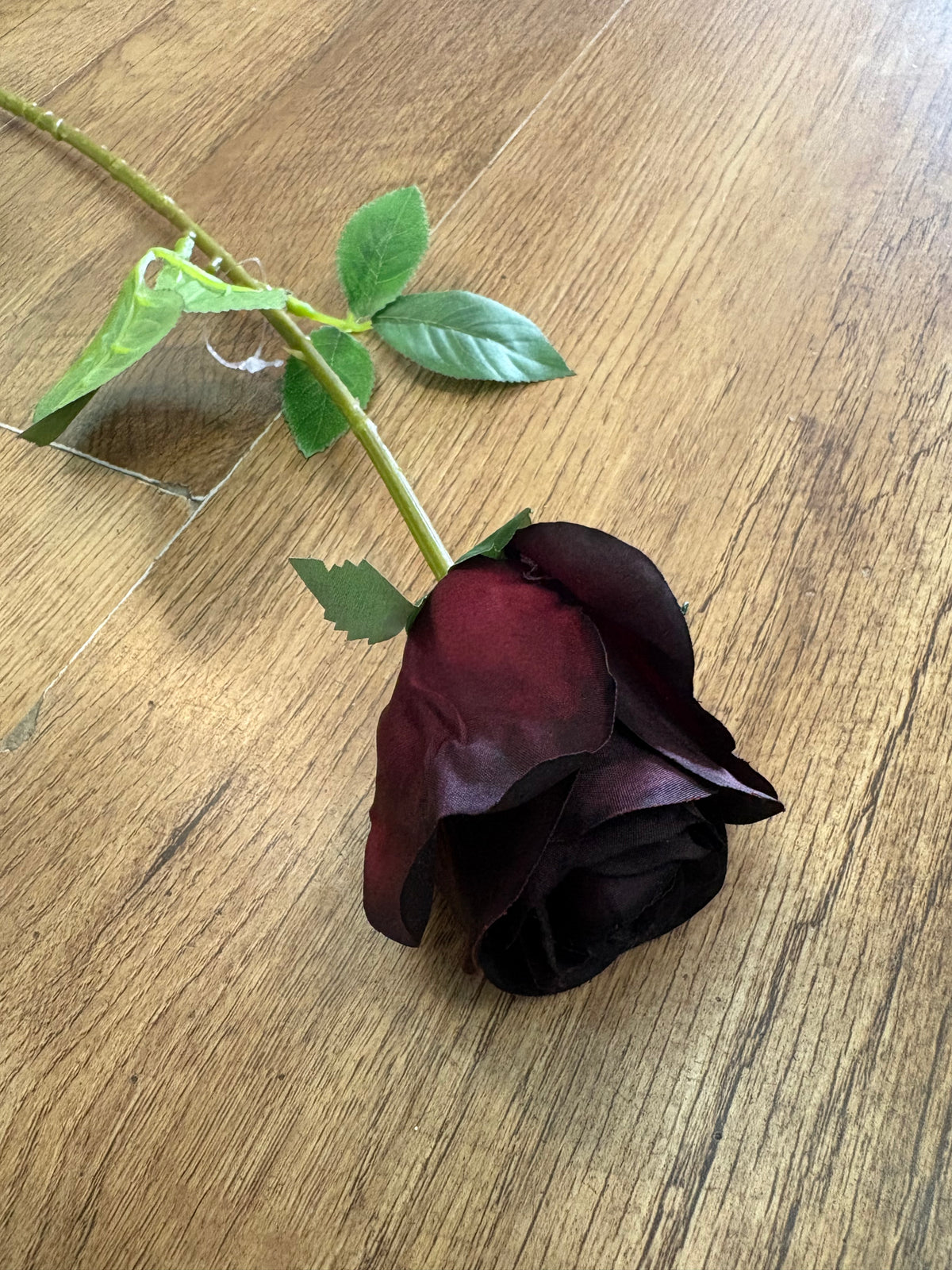 Medium length darkest burgundy rose