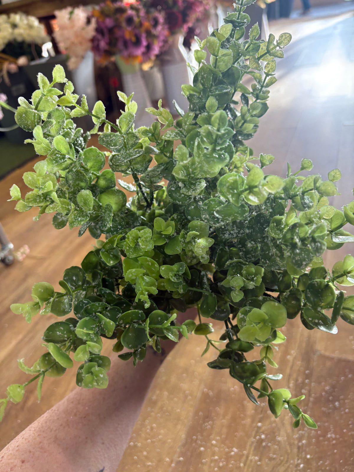 20 mixed frosted Christmas bunches
