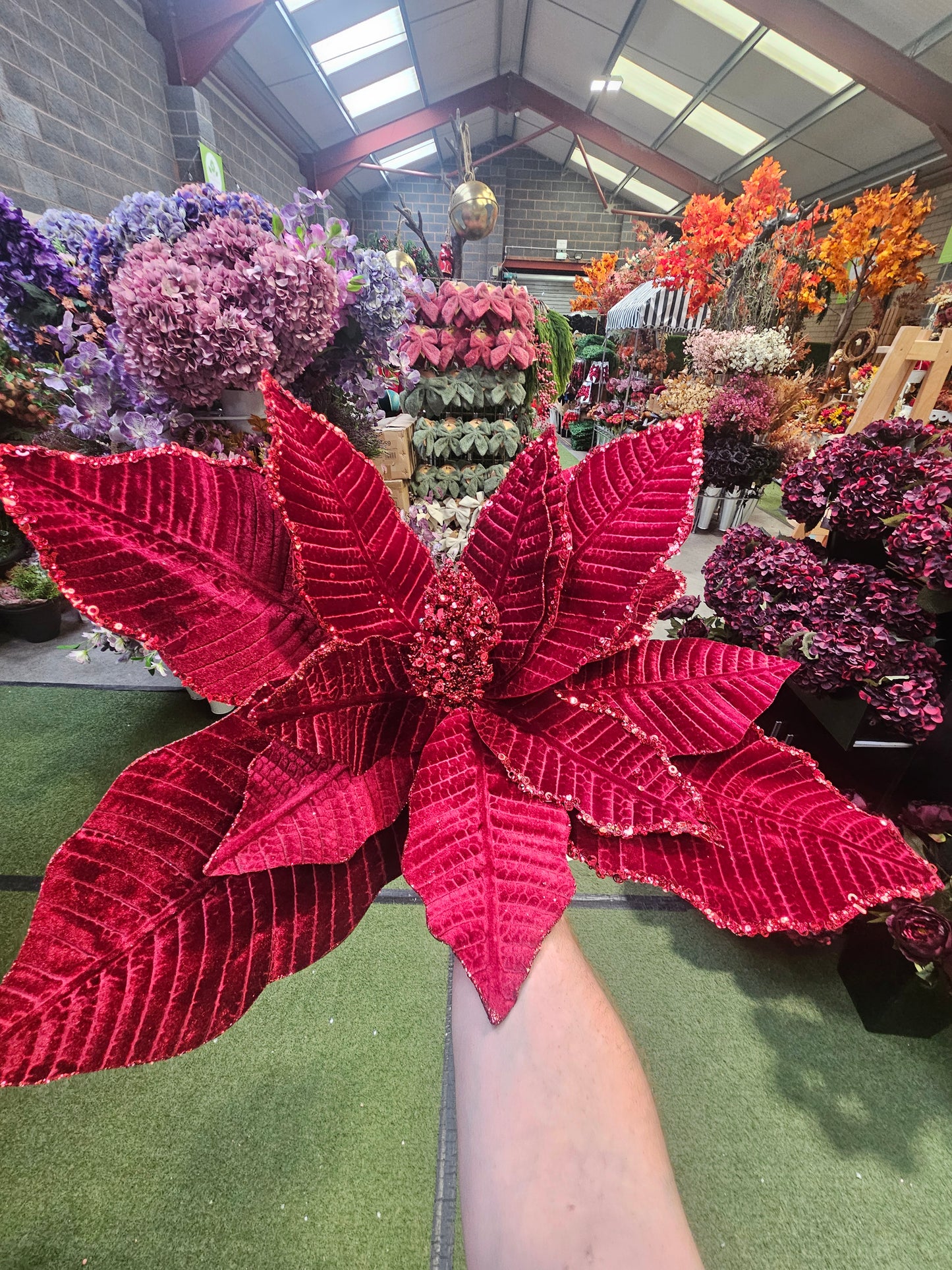 Giant Red Christmas Pointsetta