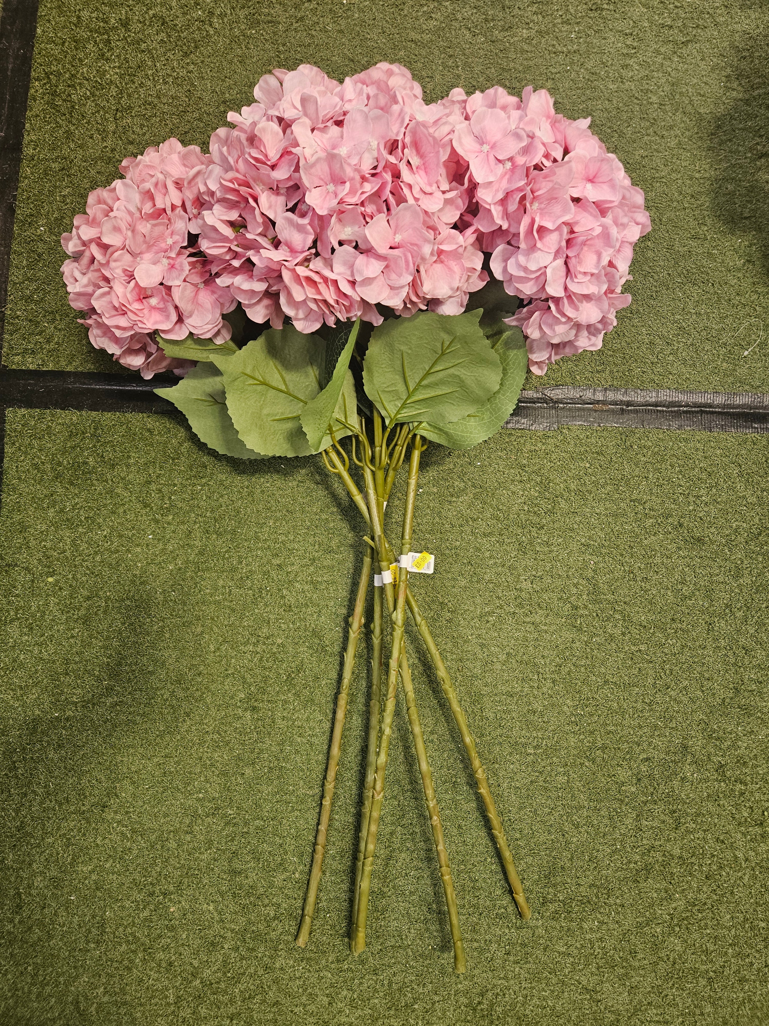 5x Large Hydrangeas (Call us on 0161 706 1163 to mix & match colours)