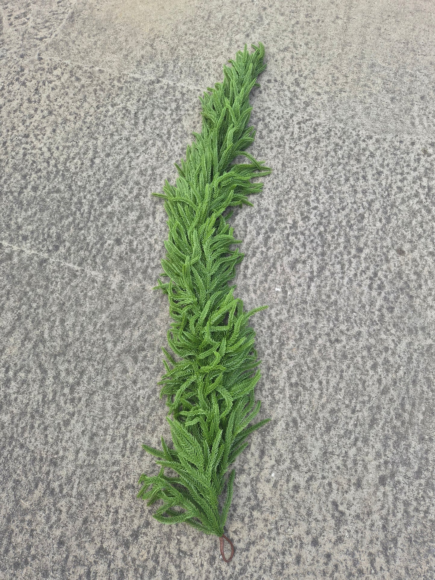 Extra Thick Nolfolk Pine Garland
