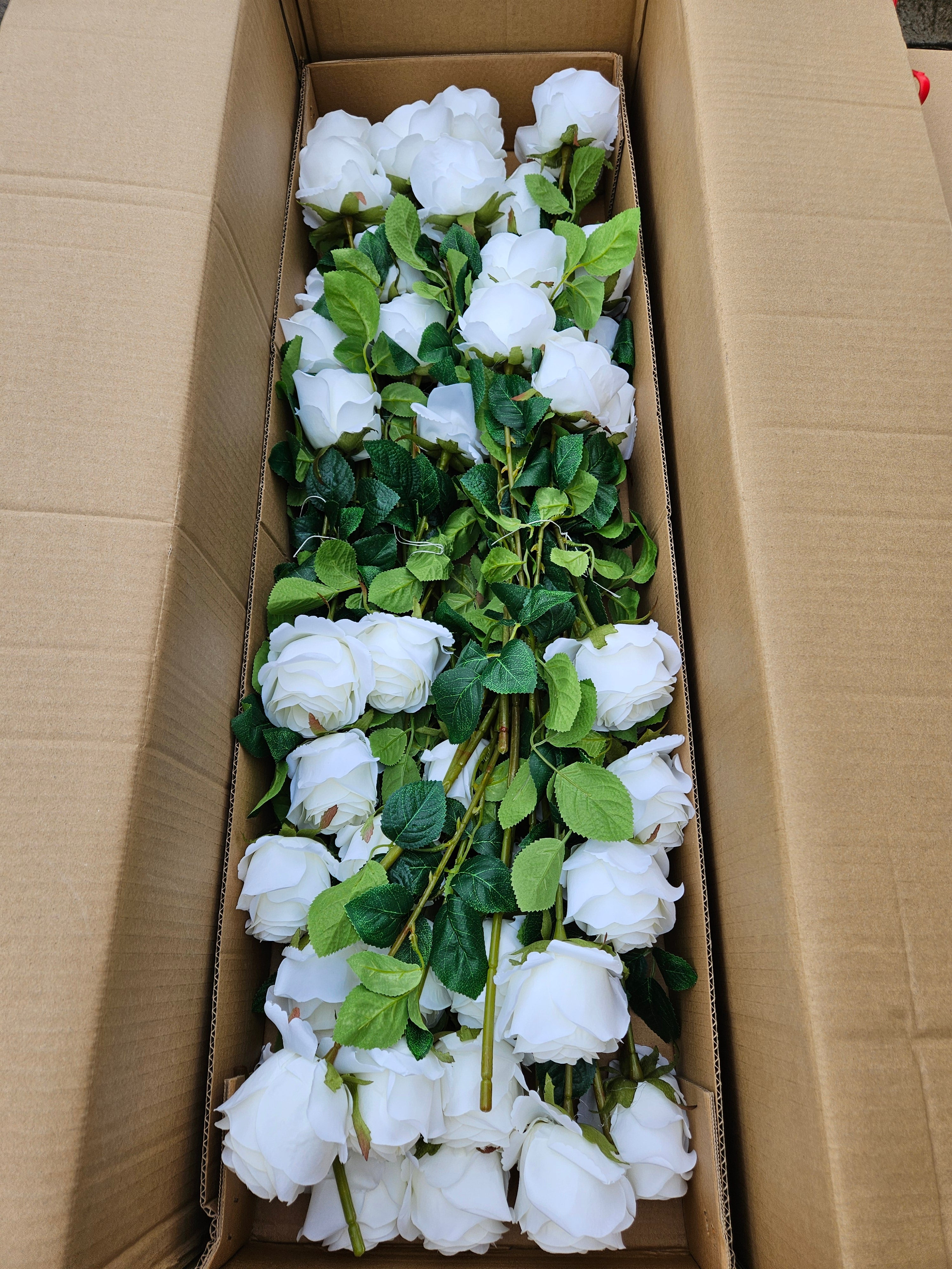 Box of 48 Ivory harper roses (head approx 10cm)