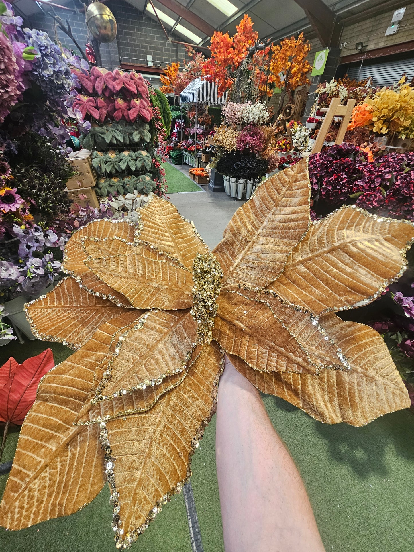 Giant Gold Christmas Pointsetta